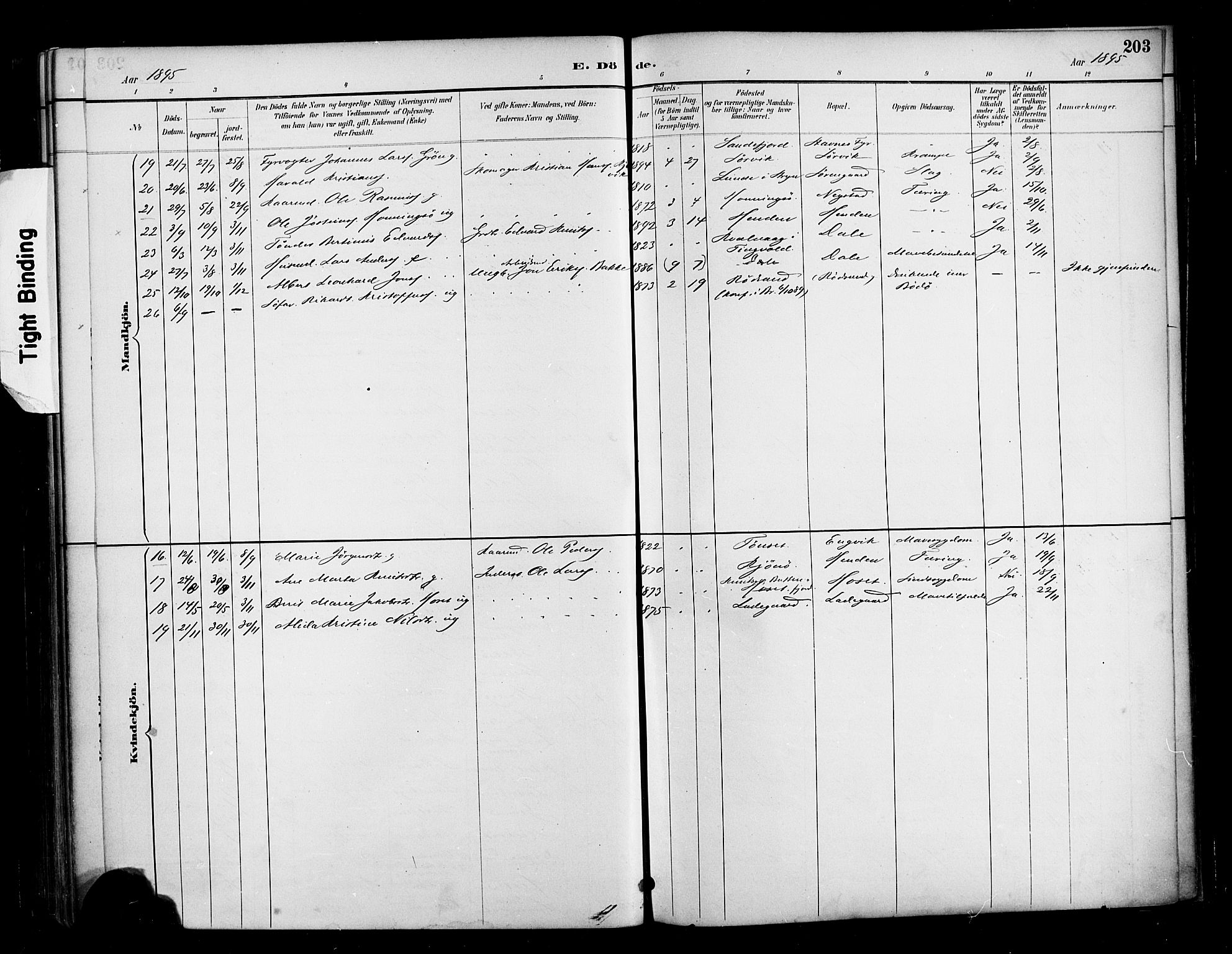 Ministerialprotokoller, klokkerbøker og fødselsregistre - Møre og Romsdal, AV/SAT-A-1454/569/L0819: Parish register (official) no. 569A05, 1885-1899, p. 203