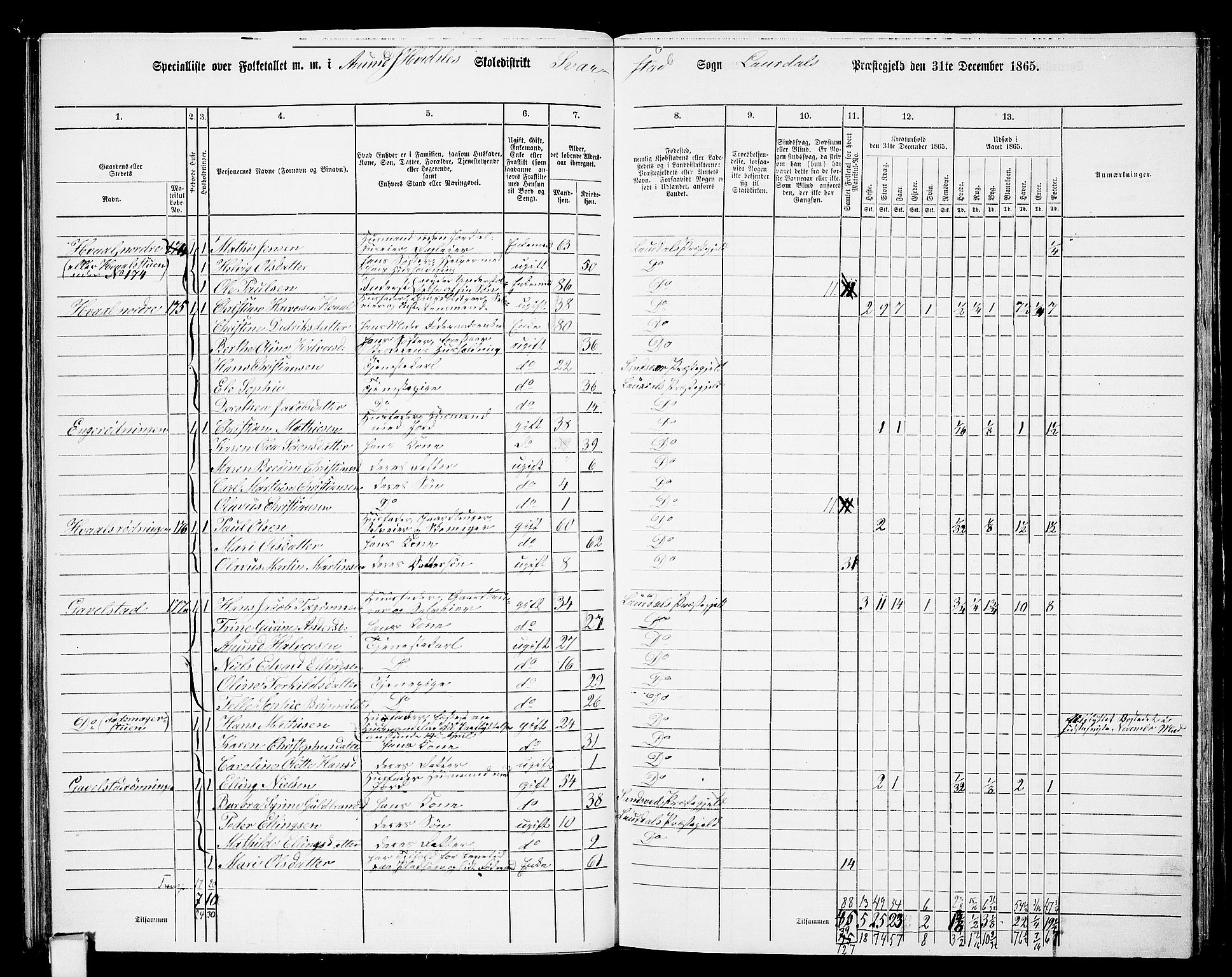 RA, 1865 census for Lardal, 1865, p. 53