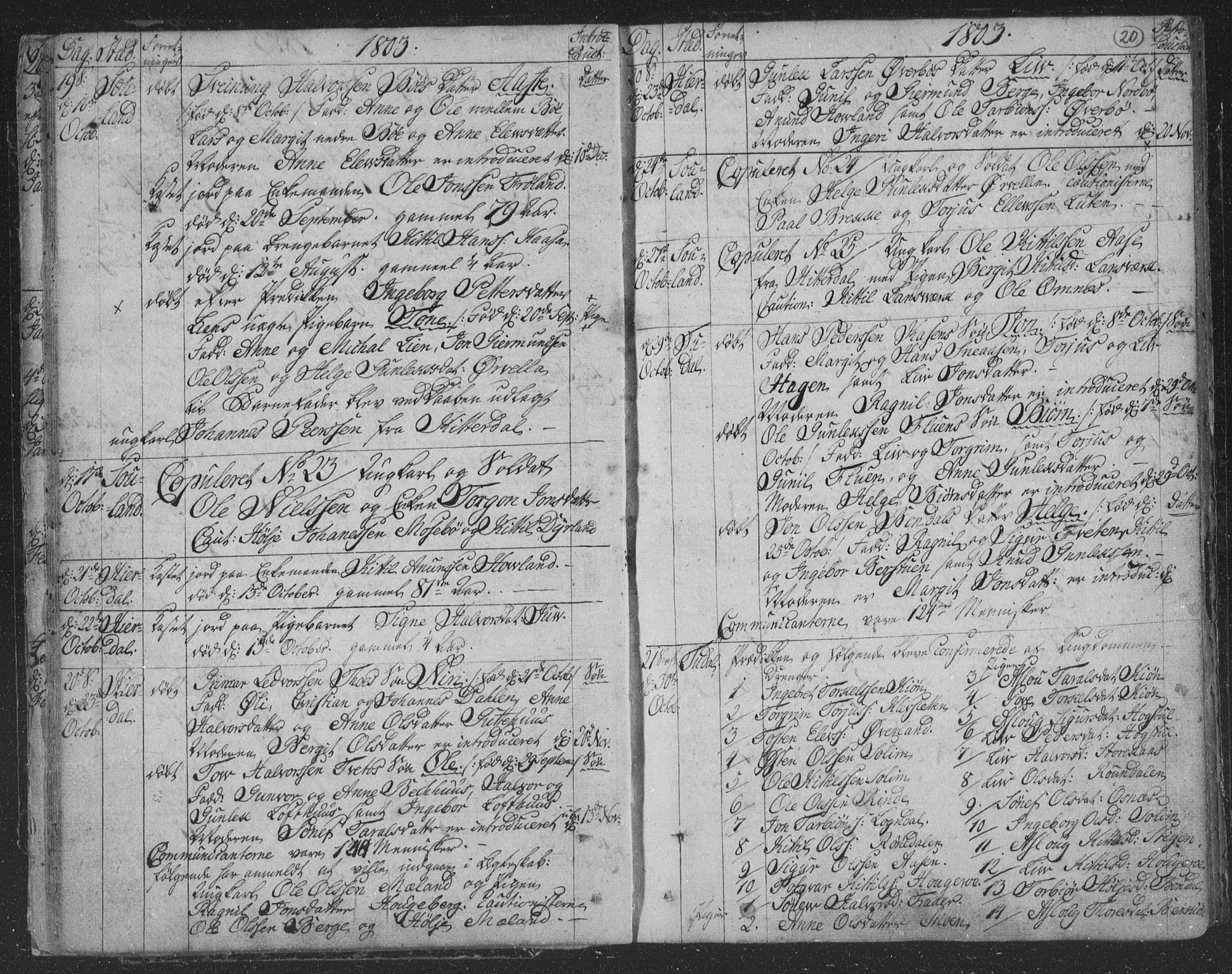 Hjartdal kirkebøker, SAKO/A-270/F/Fa/L0006: Parish register (official) no. I 6, 1801-1814, p. 20