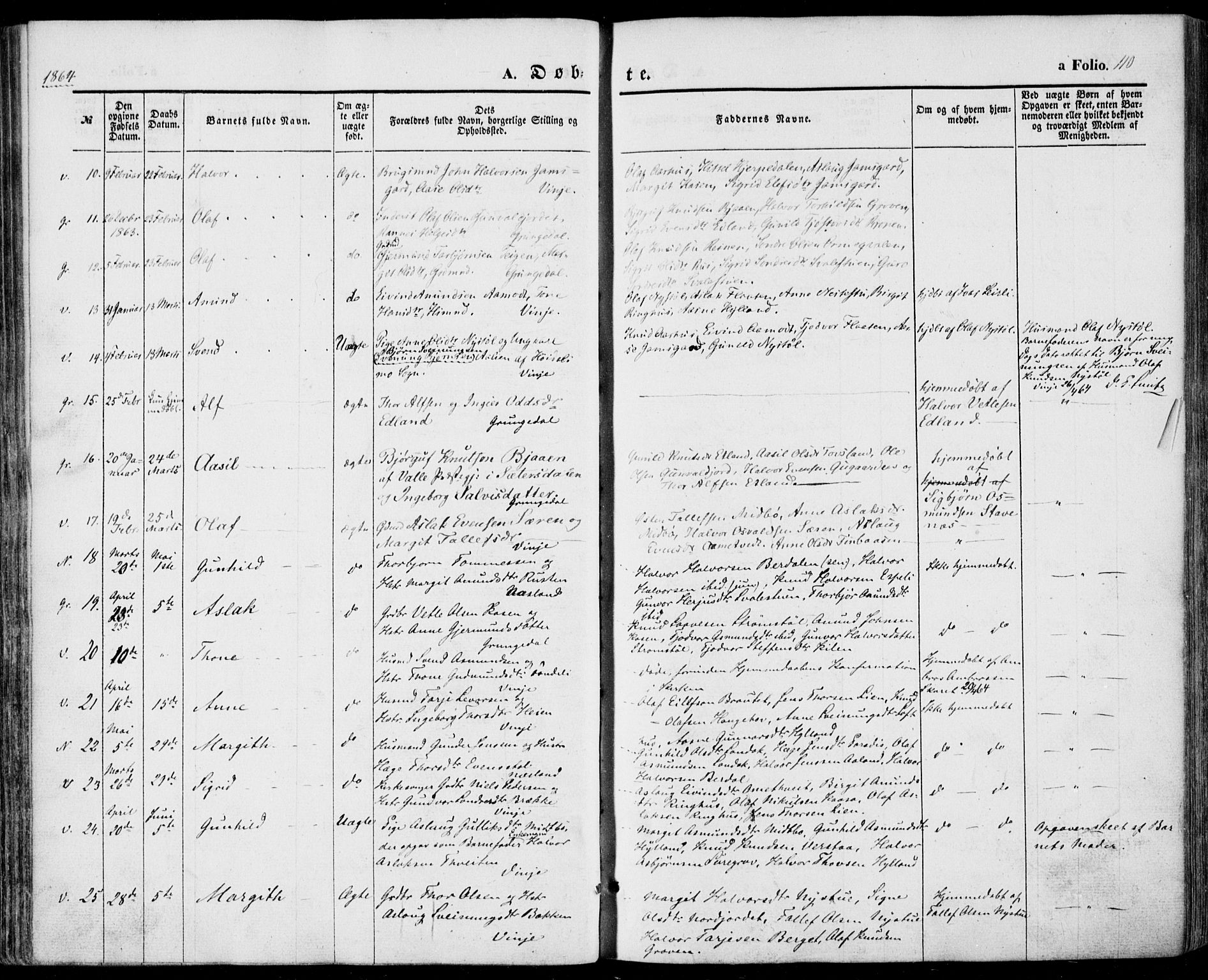 Vinje kirkebøker, AV/SAKO-A-312/F/Fa/L0004: Parish register (official) no. I 4, 1843-1869, p. 110