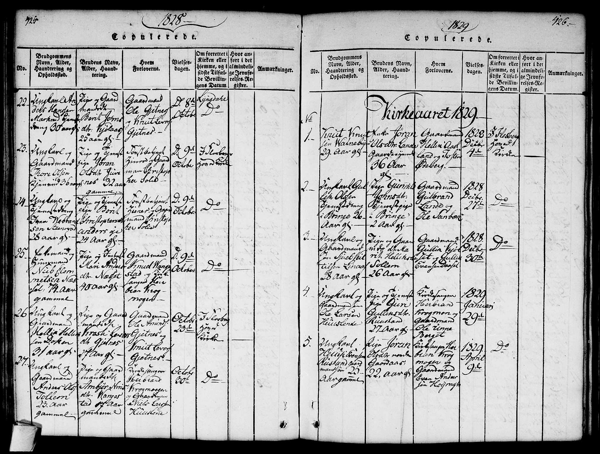 Flesberg kirkebøker, SAKO/A-18/G/Ga/L0001: Parish register (copy) no. I 1, 1816-1834, p. 425-426