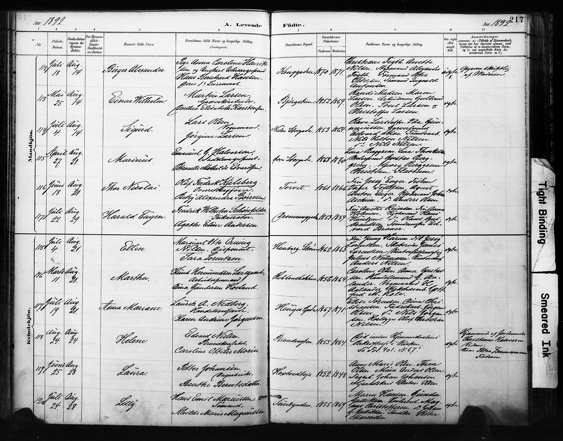 Bragernes kirkebøker, AV/SAKO-A-6/F/Fb/L0007: Parish register (official) no. II 7, 1885-1893, p. 217