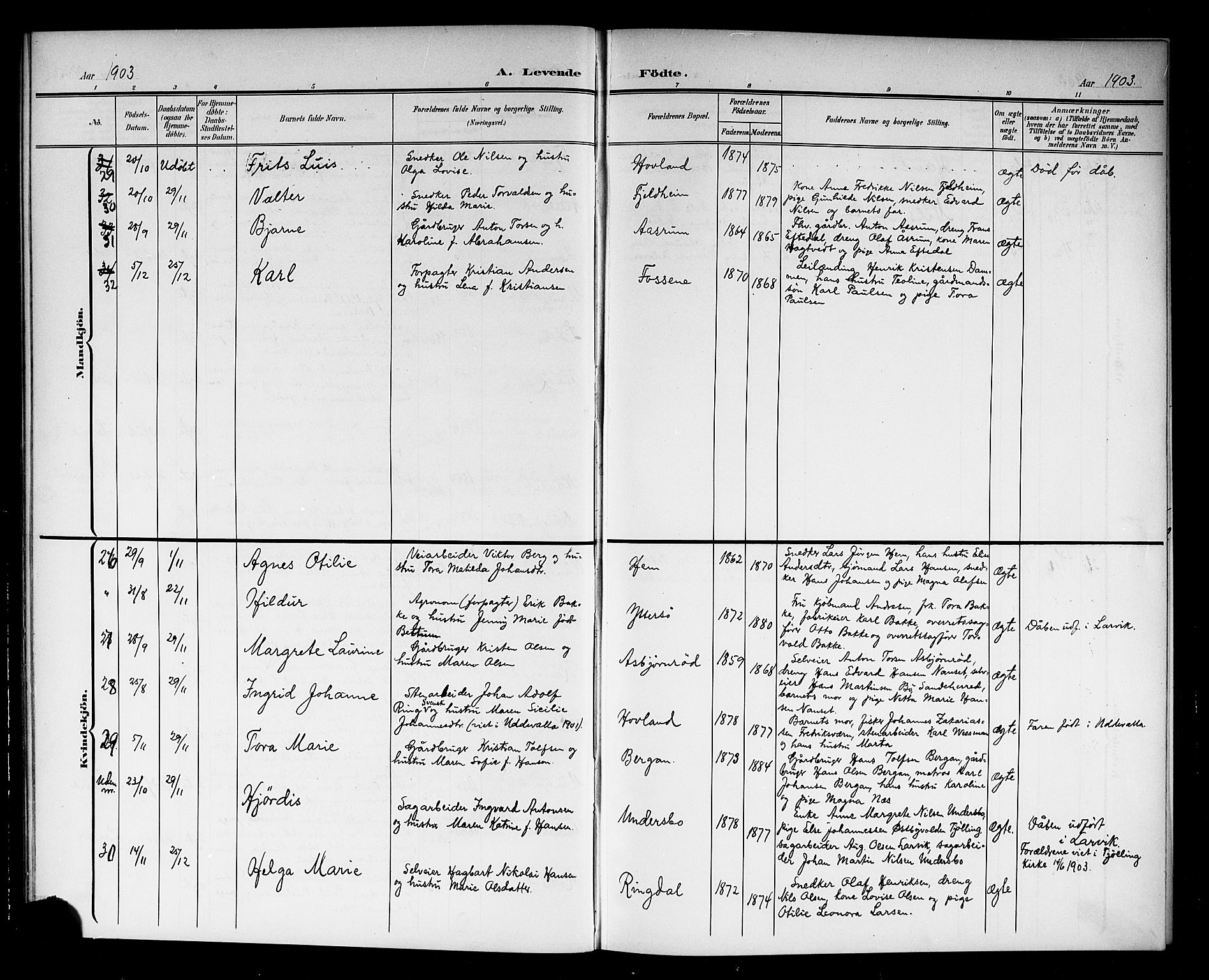 Hedrum kirkebøker, AV/SAKO-A-344/G/Ga/L0004: Parish register (copy) no. I 4, 1902-1915