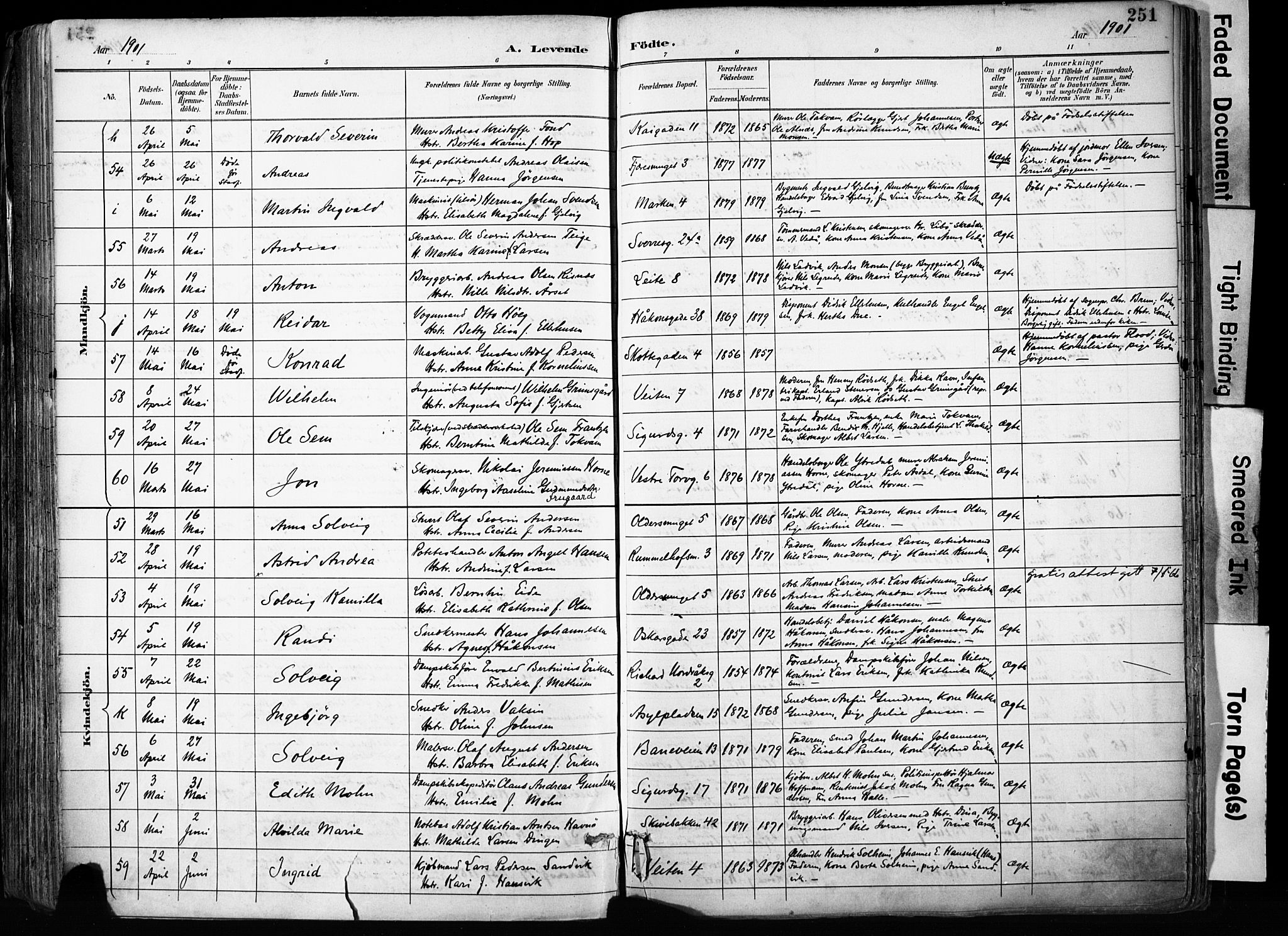 Domkirken sokneprestembete, SAB/A-74801/H/Haa/L0024: Parish register (official) no. B 7, 1888-1903, p. 251