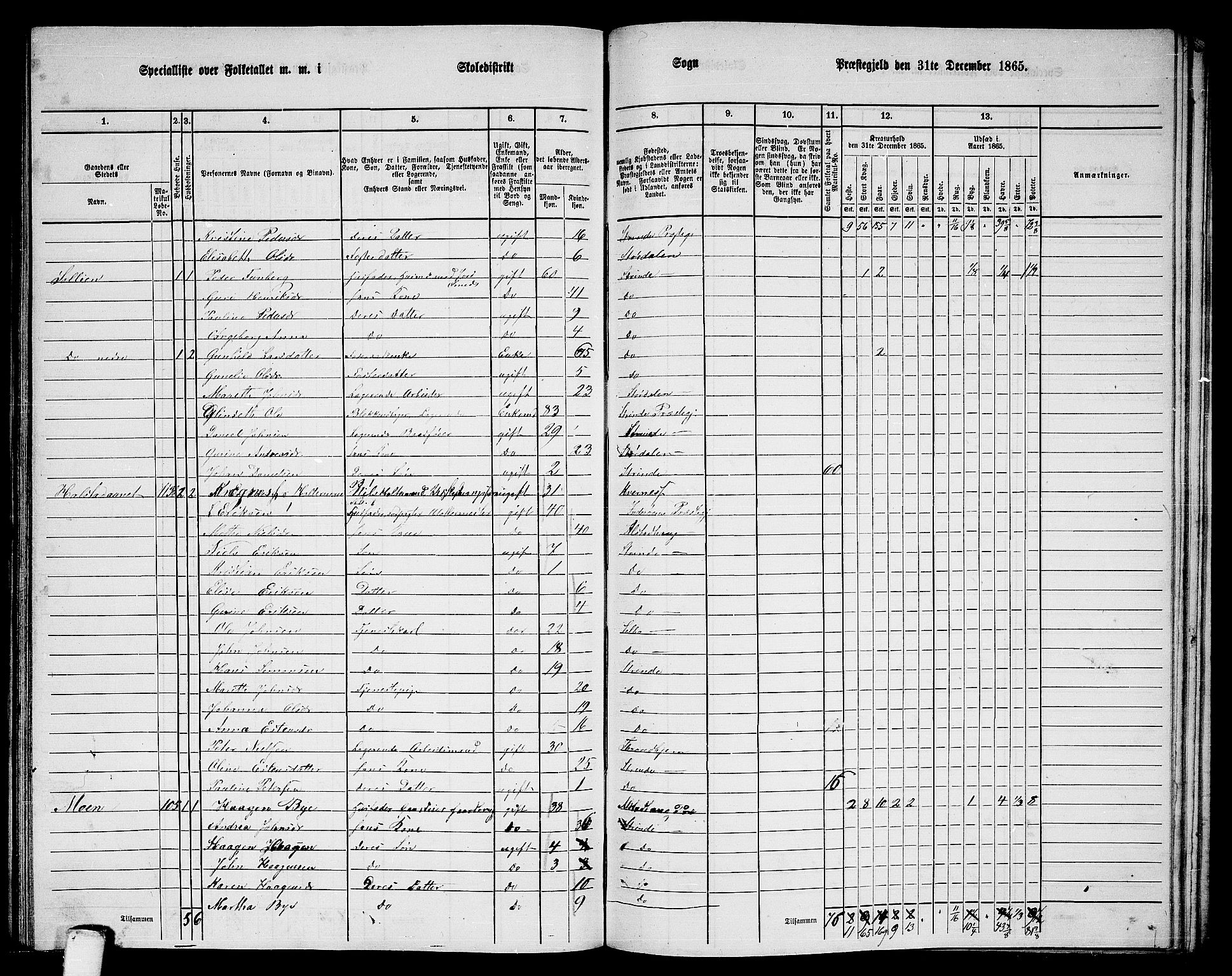 RA, 1865 census for Strinda, 1865, p. 234