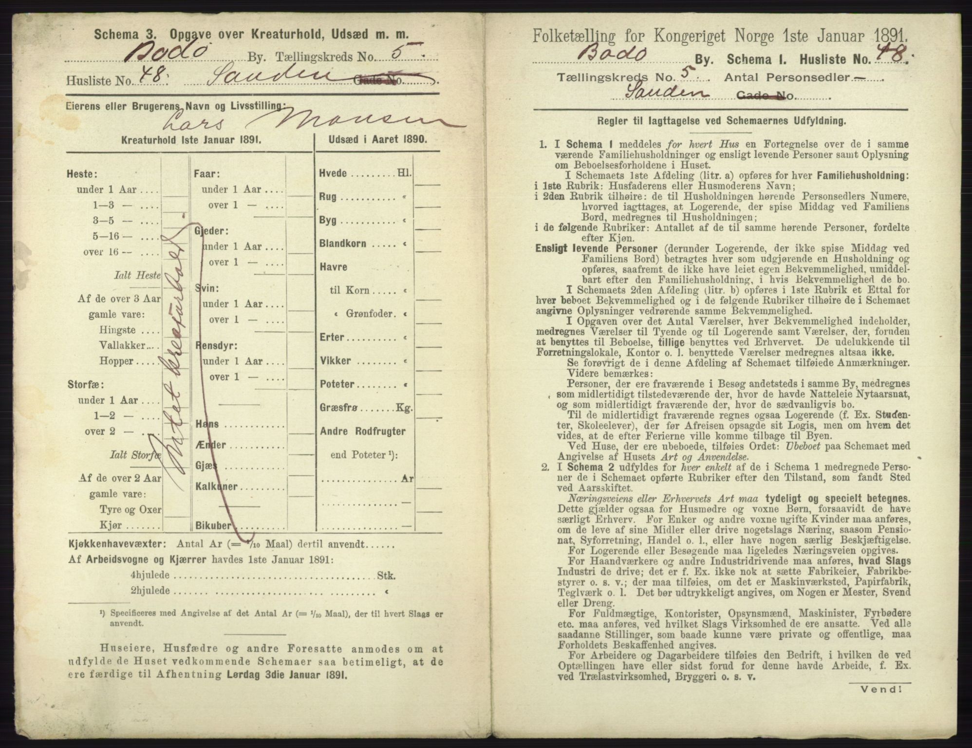 RA, 1891 census for 1804 Bodø, 1891, p. 3901