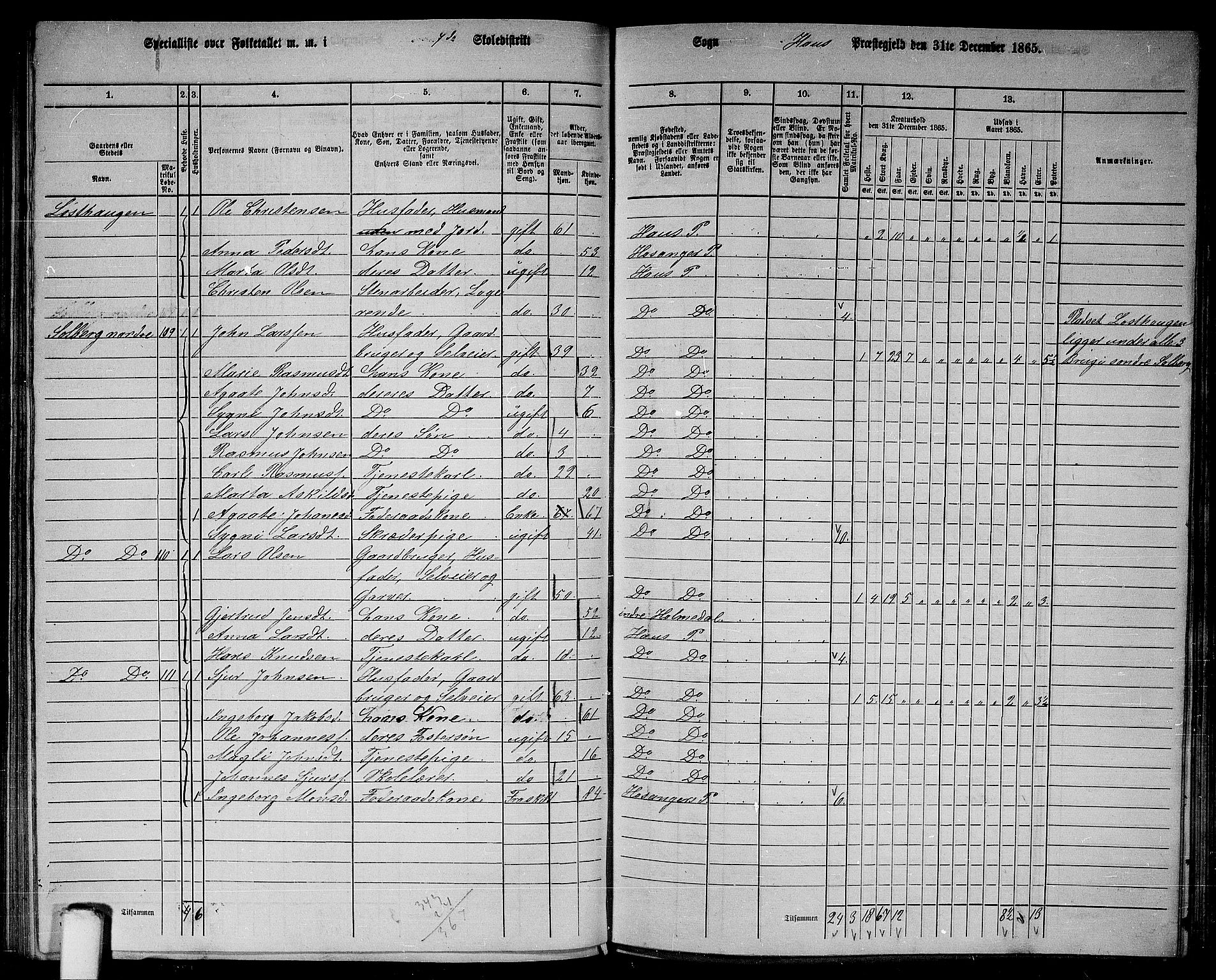 RA, 1865 census for Haus, 1865, p. 142