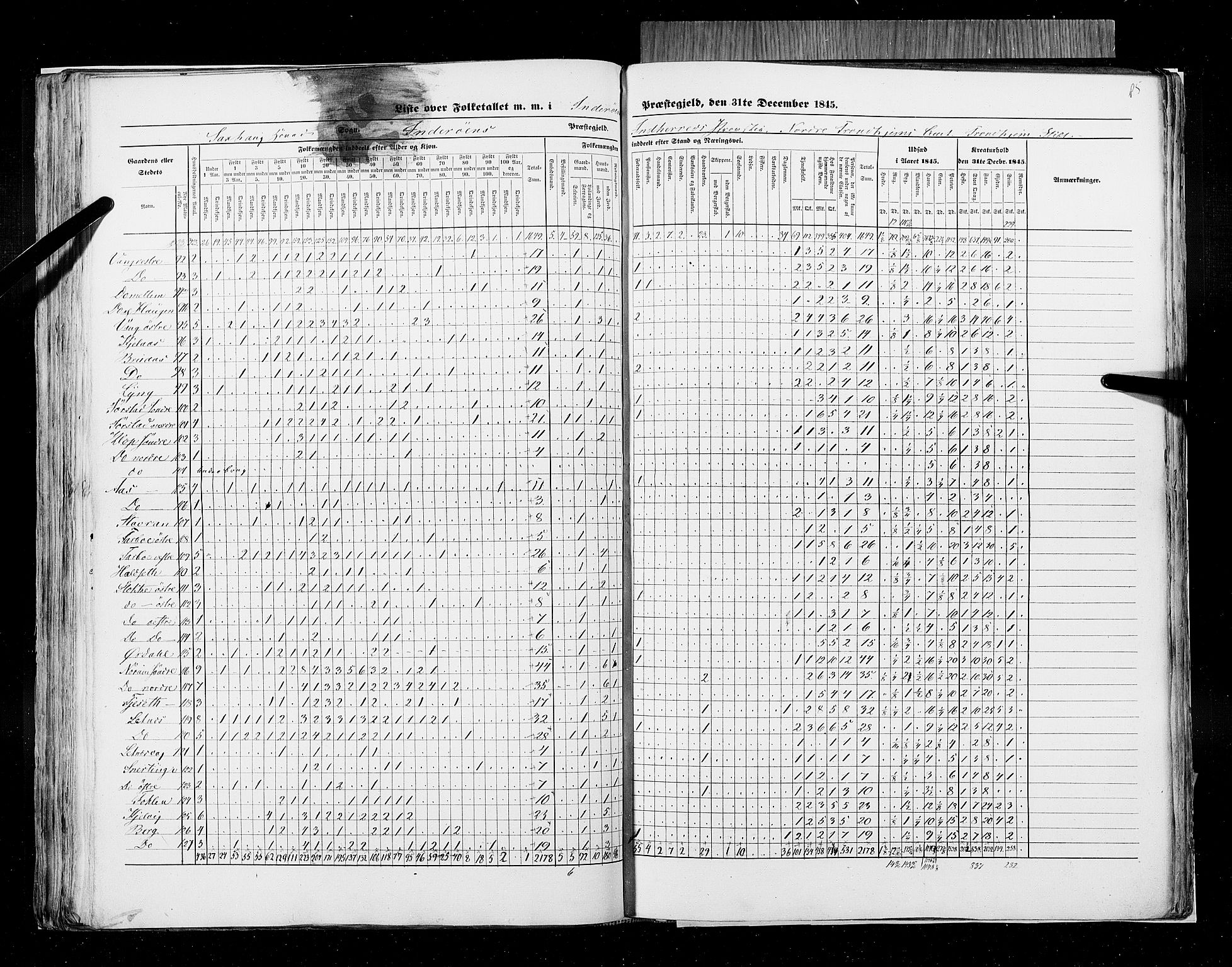 RA, Census 1845, vol. 9A: Nordre Trondhjems amt, 1845, p. 85