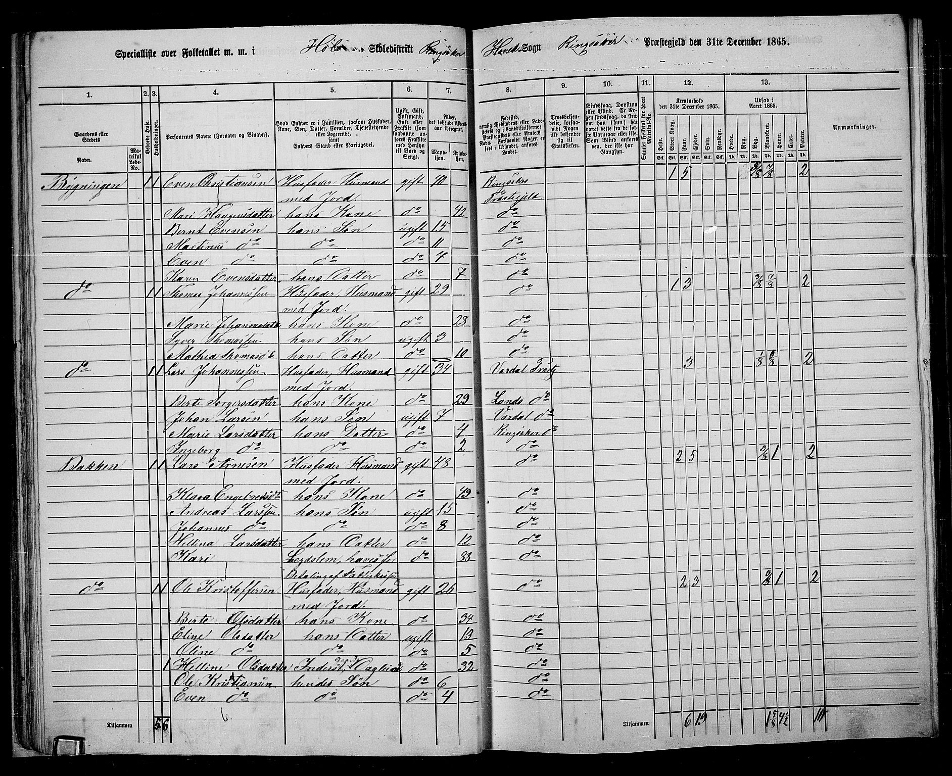 RA, 1865 census for Ringsaker, 1865, p. 49