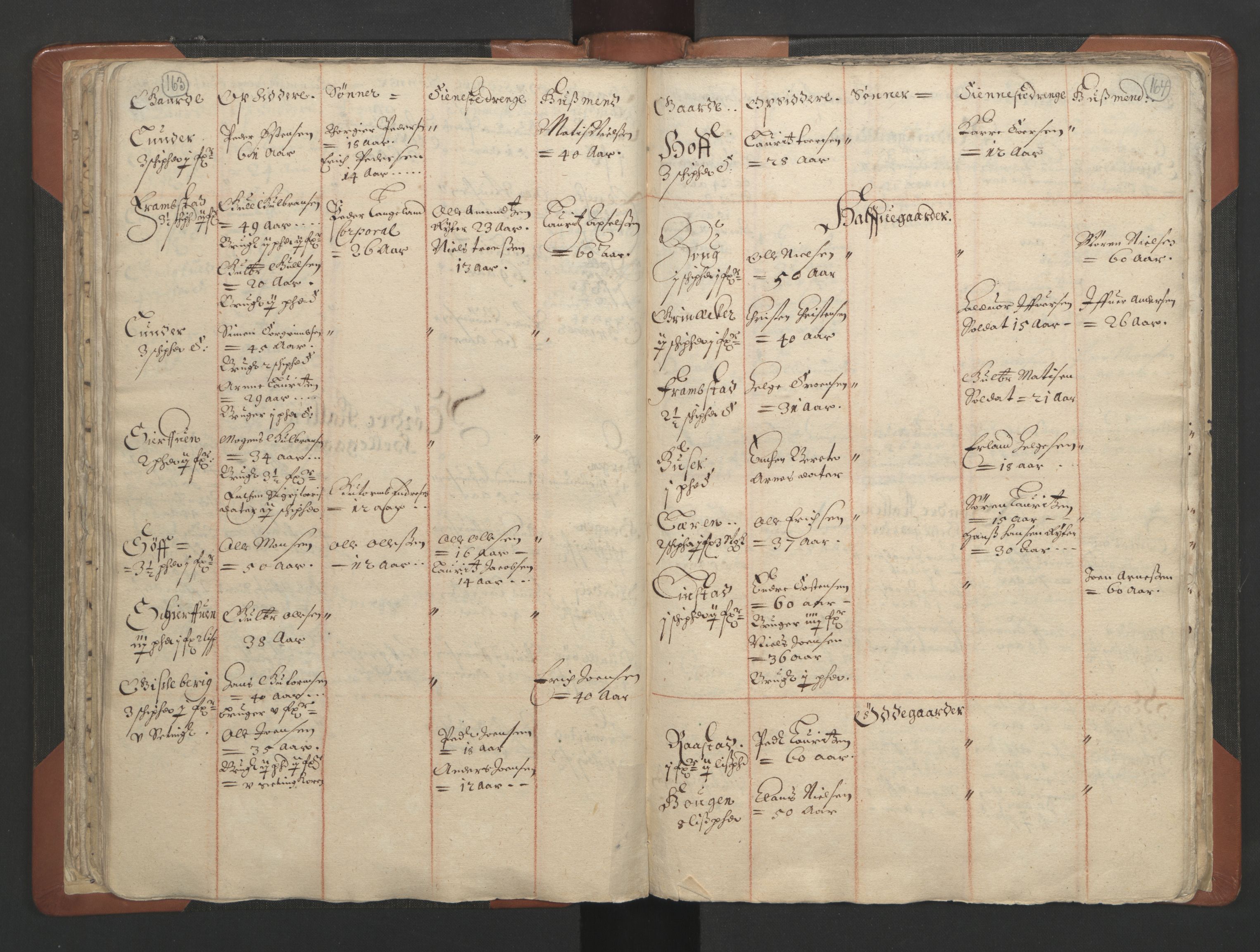 RA, Vicar's Census 1664-1666, no. 7: Hadeland deanery, 1664-1666, p. 163-164