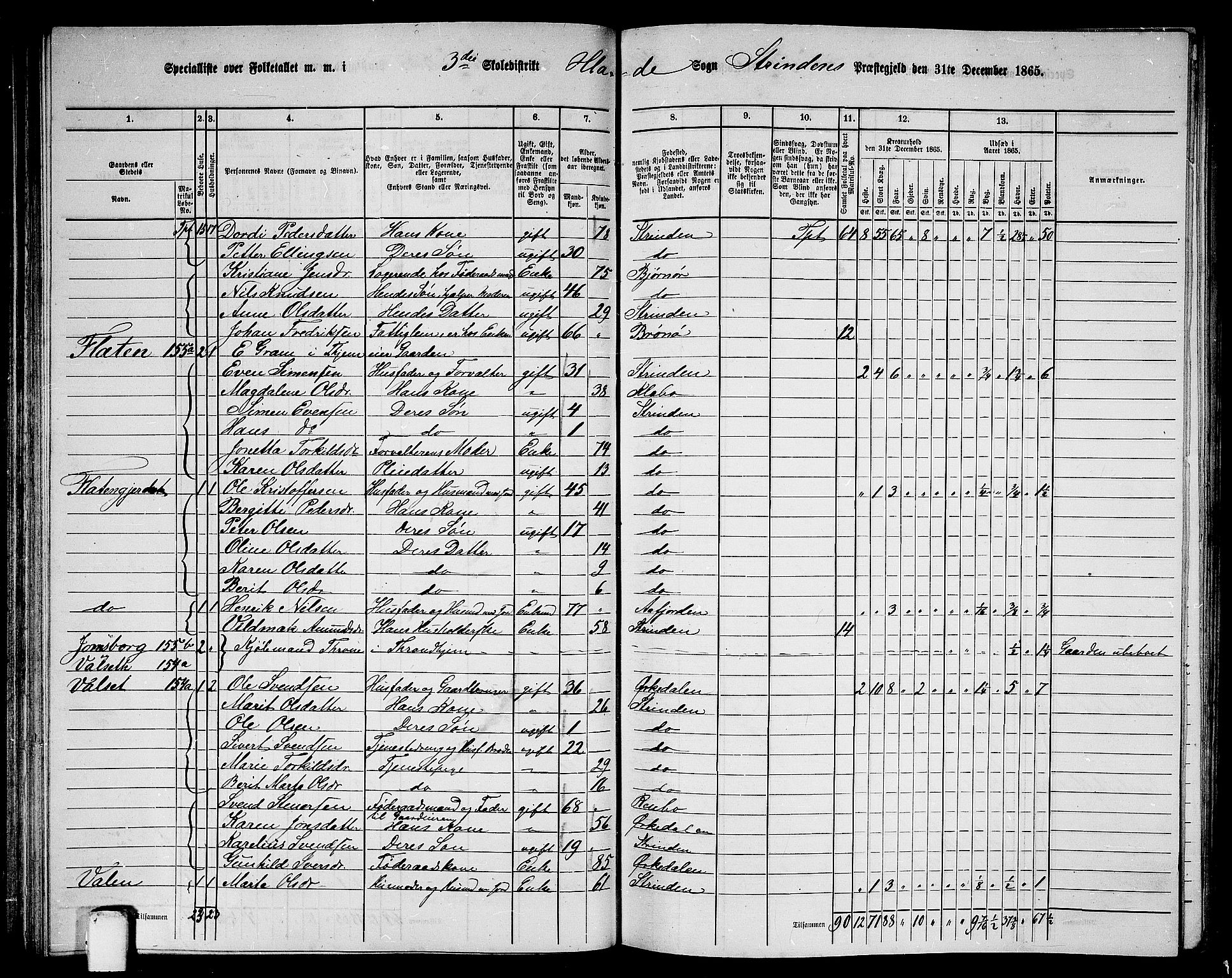 RA, 1865 census for Strinda, 1865, p. 75