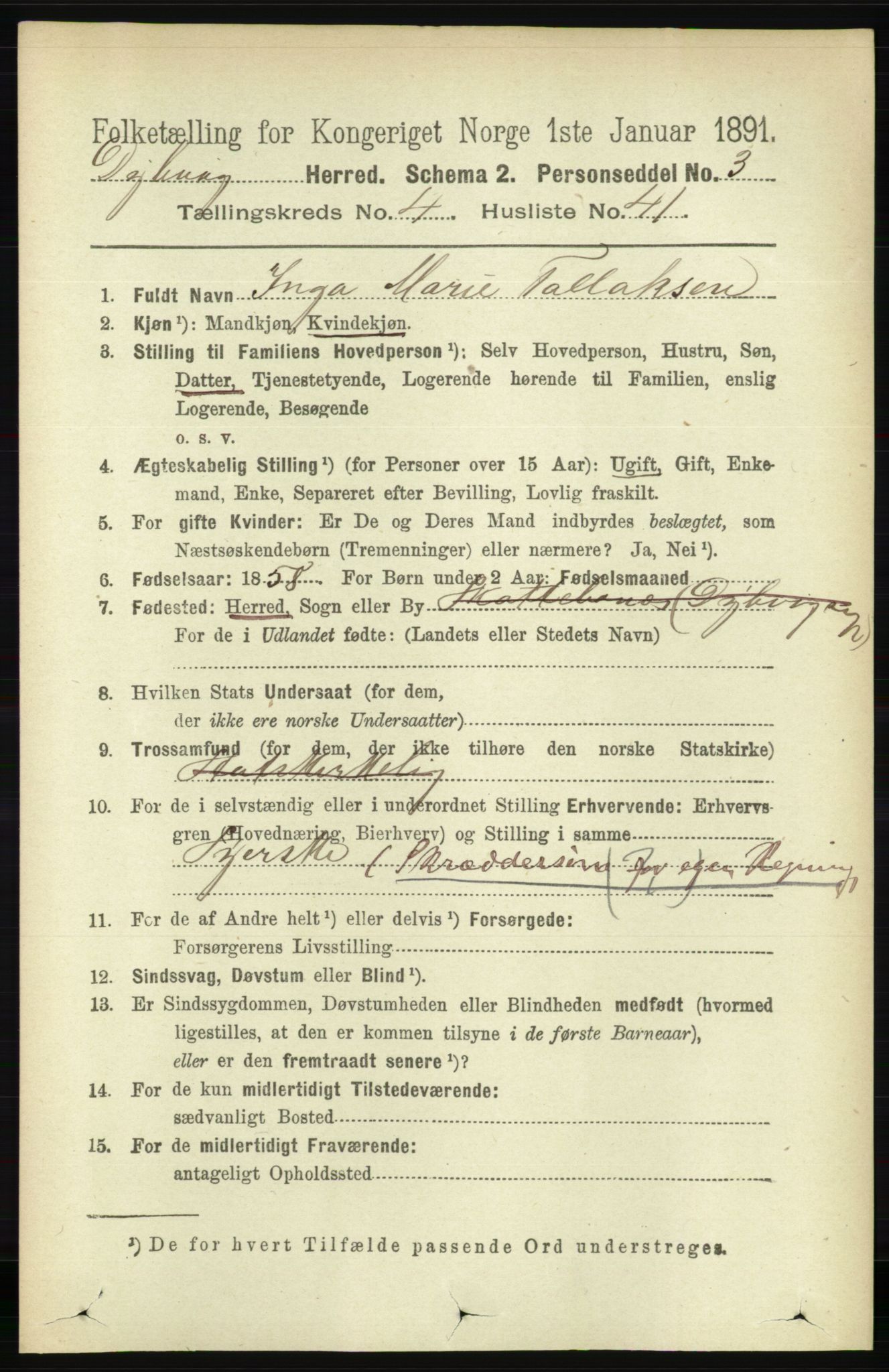 RA, 1891 census for 0915 Dypvåg, 1891, p. 1276
