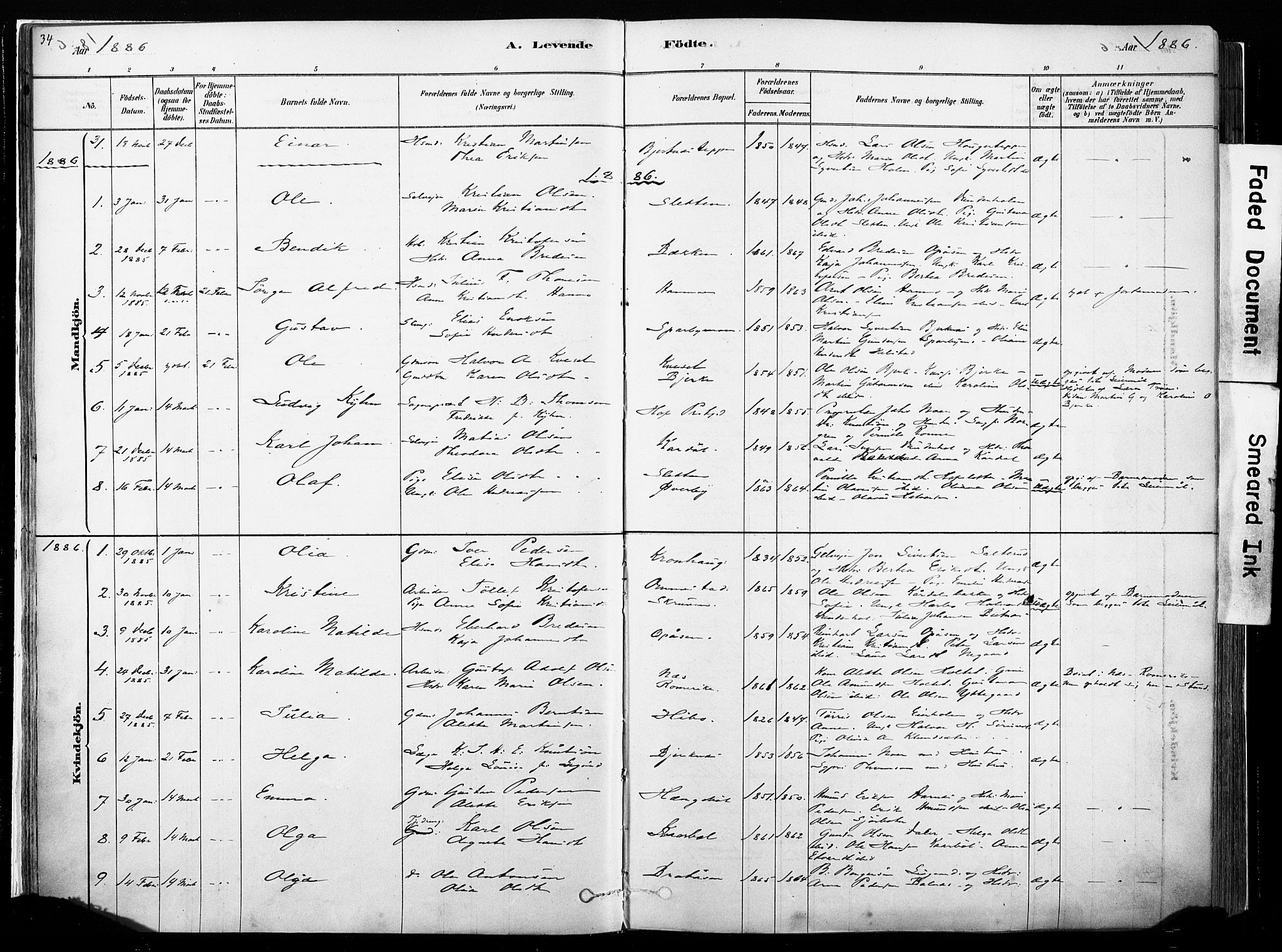 Hof prestekontor, SAH/PREST-038/H/Ha/Haa/L0010: Parish register (official) no. 10, 1878-1909, p. 34