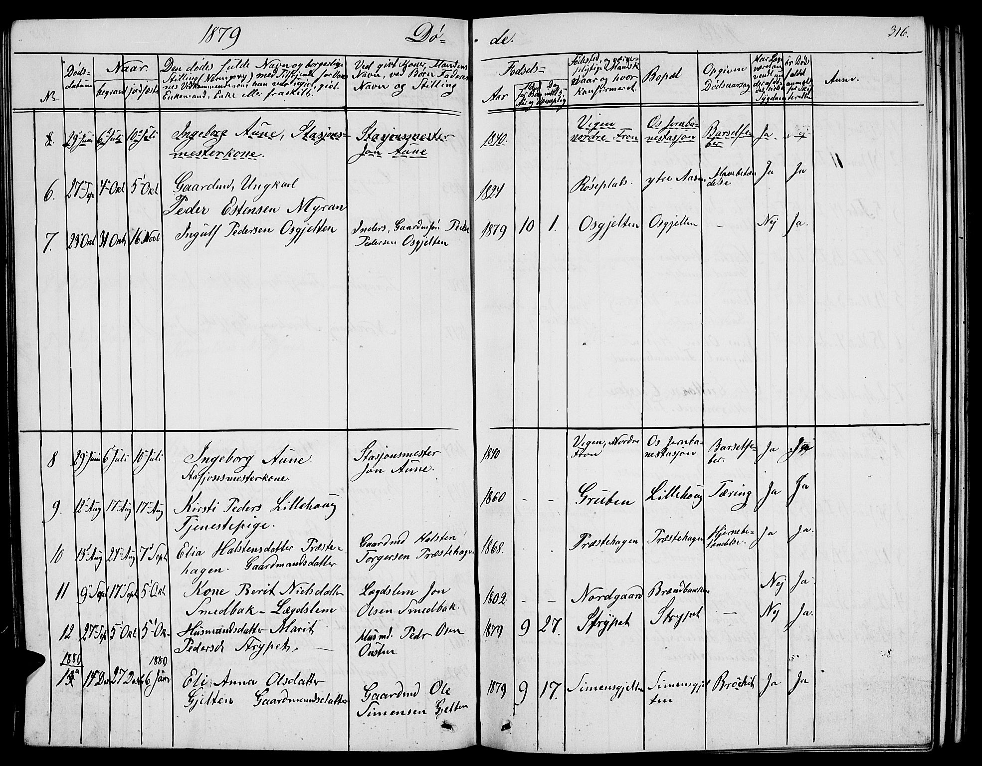 Tolga prestekontor, AV/SAH-PREST-062/L/L0004: Parish register (copy) no. 4, 1845-1887, p. 316