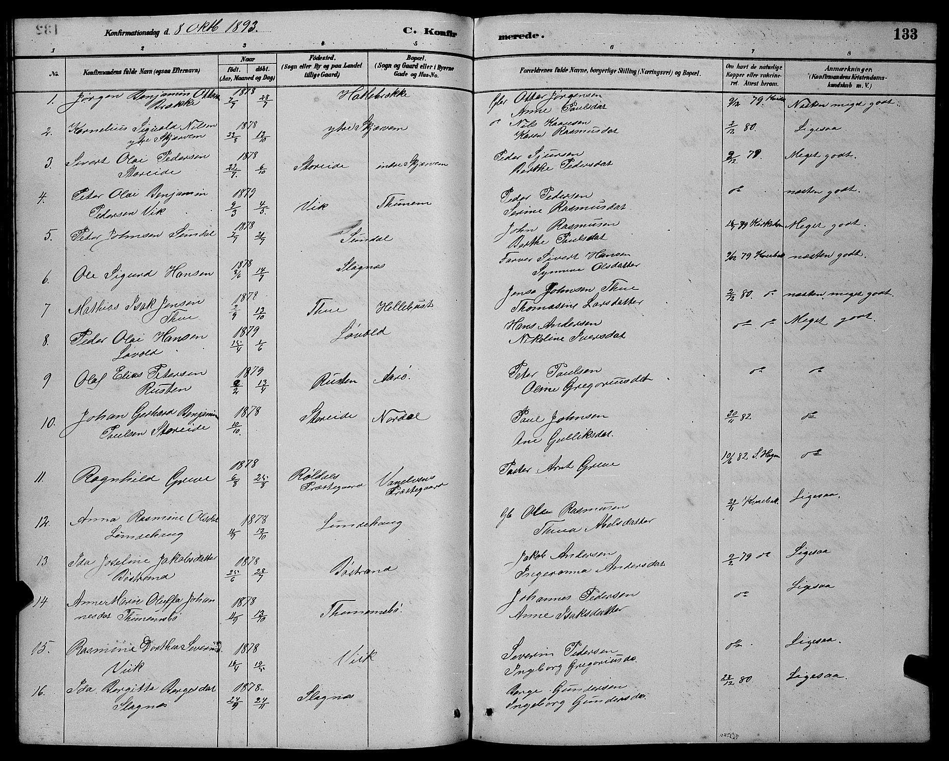 Ministerialprotokoller, klokkerbøker og fødselsregistre - Møre og Romsdal, AV/SAT-A-1454/501/L0017: Parish register (copy) no. 501C03, 1885-1901, p. 133