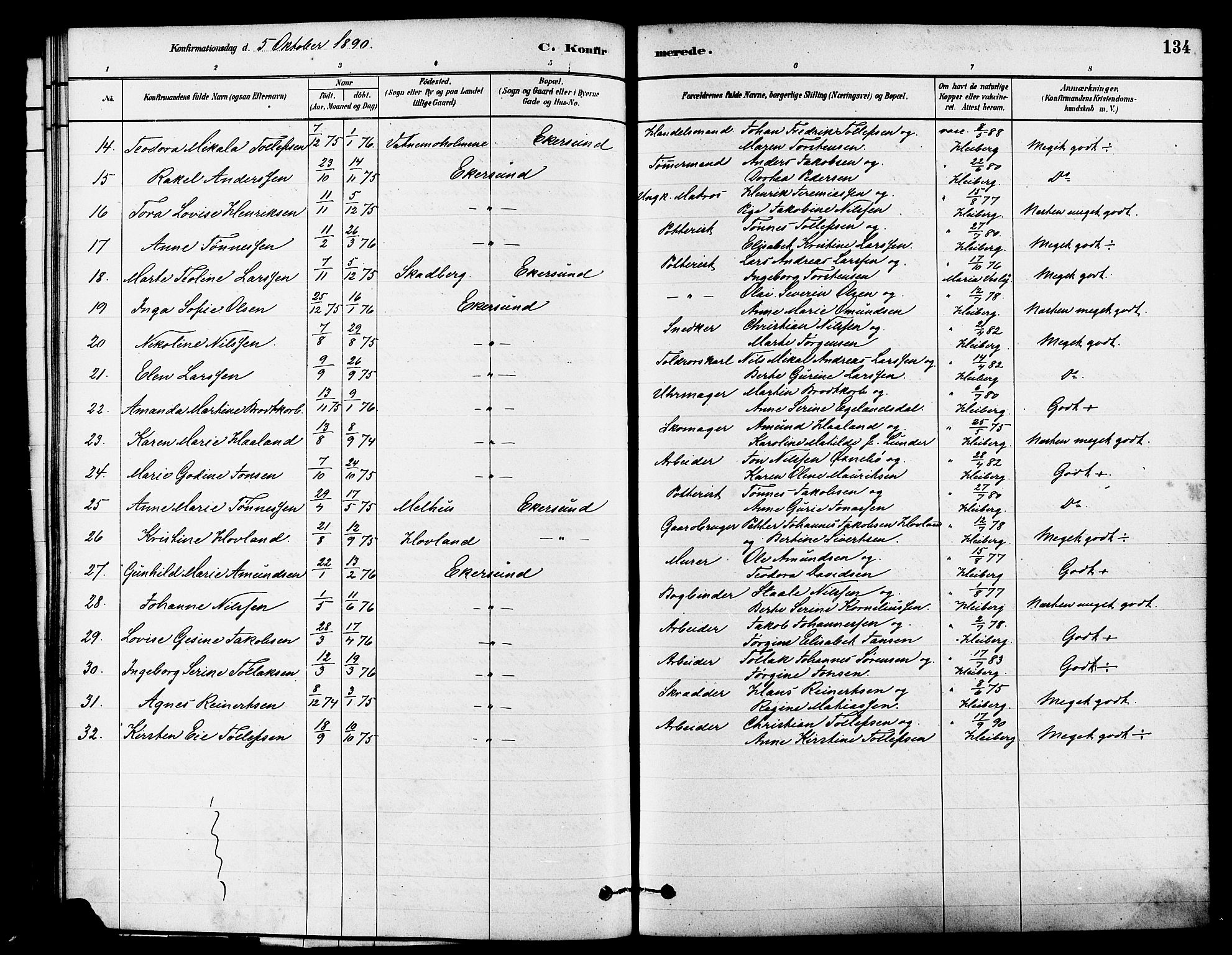 Eigersund sokneprestkontor, AV/SAST-A-101807/S08/L0015: Parish register (official) no. A 15, 1879-1892, p. 134