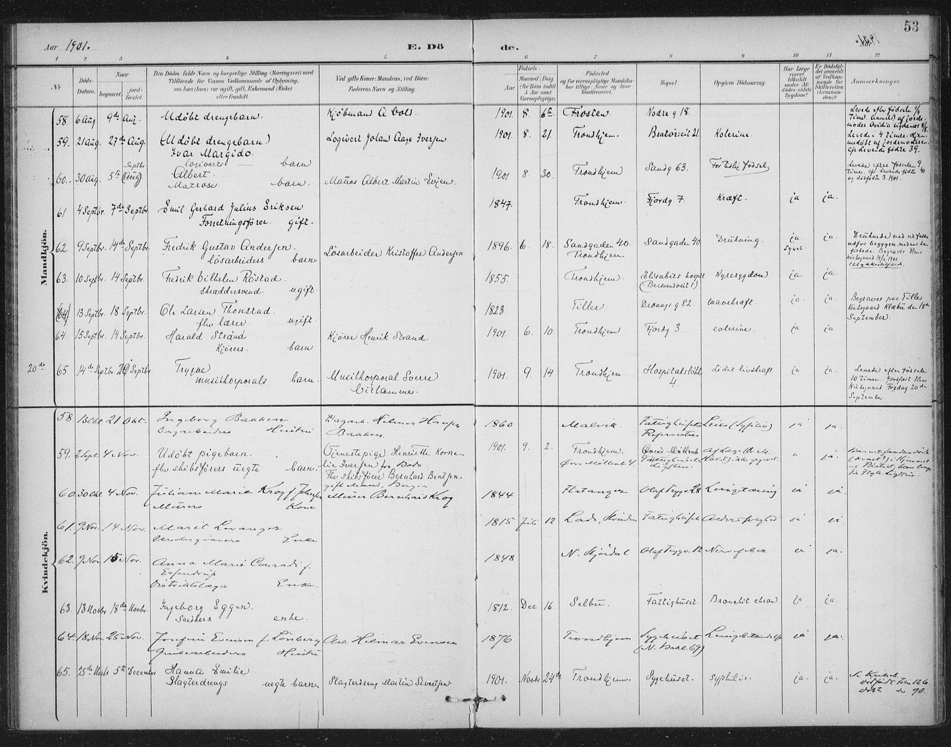 Ministerialprotokoller, klokkerbøker og fødselsregistre - Sør-Trøndelag, SAT/A-1456/602/L0123: Parish register (official) no. 602A21, 1895-1910, p. 53