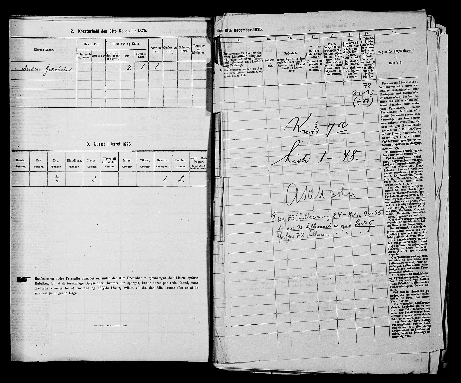 RA, 1875 census for 0116P Berg, 1875, p. 1072