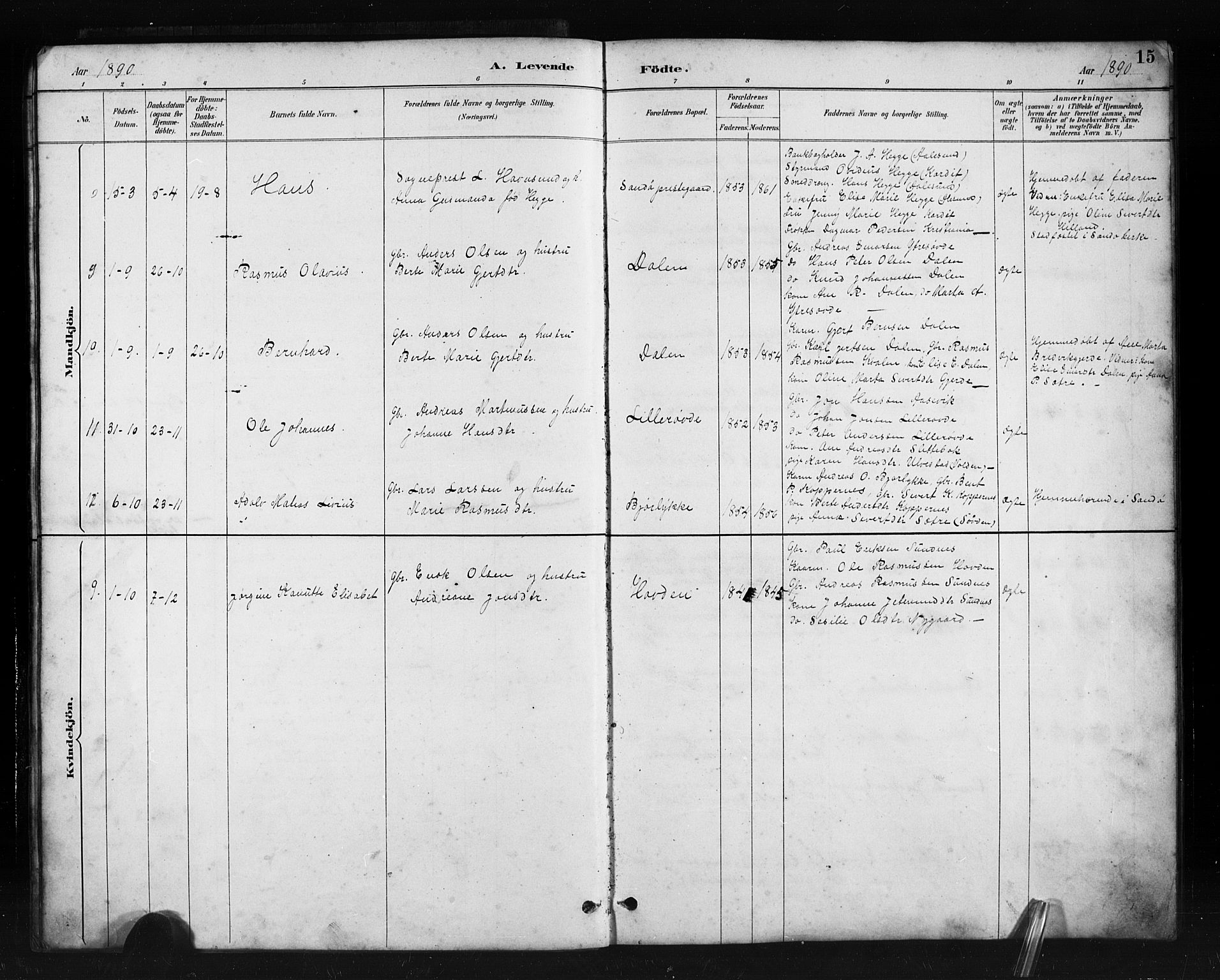 Ministerialprotokoller, klokkerbøker og fødselsregistre - Møre og Romsdal, AV/SAT-A-1454/504/L0060: Parish register (copy) no. 504C02, 1884-1903, p. 15