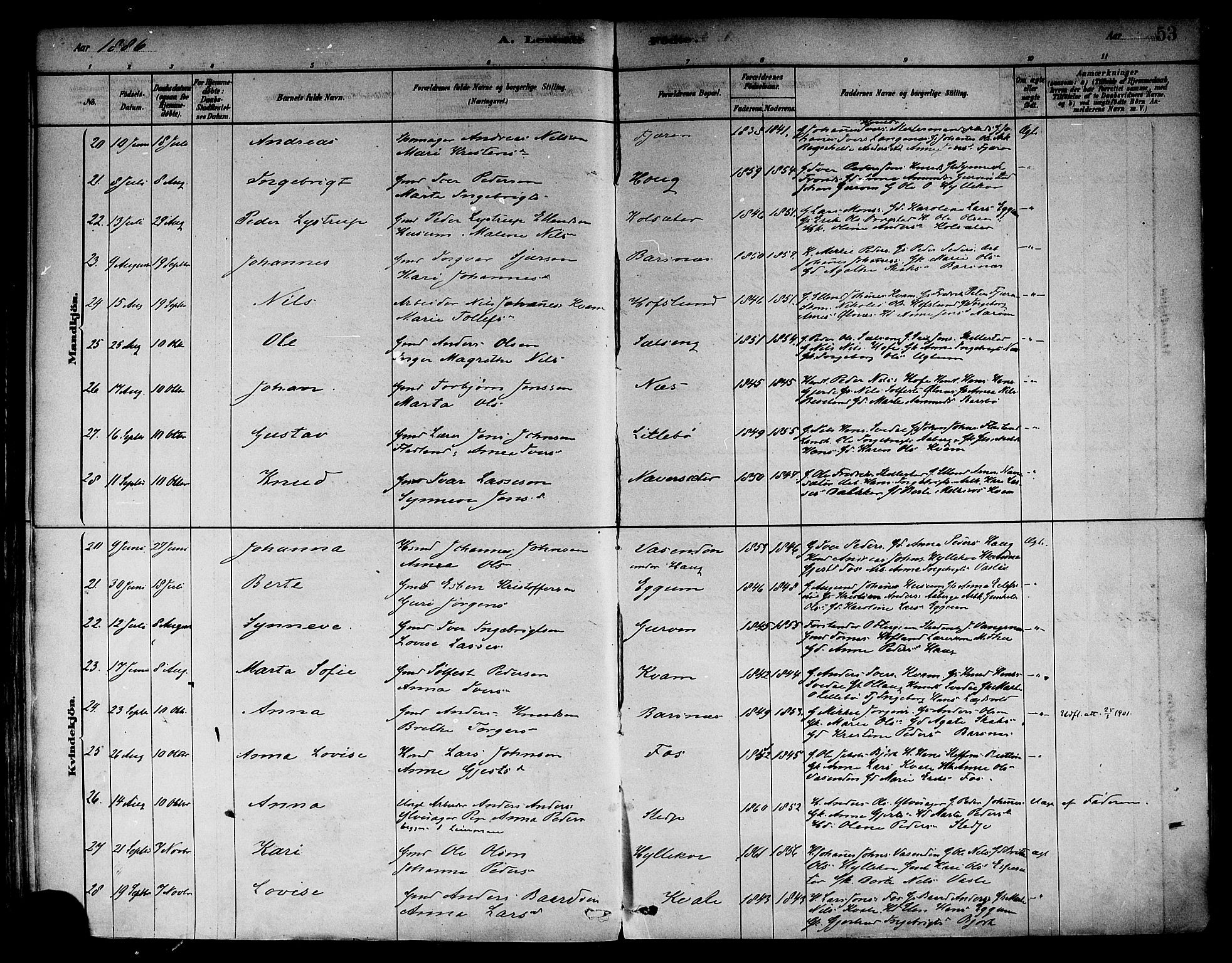 Sogndal sokneprestembete, SAB/A-81301/H/Haa/Haab/L0001: Parish register (official) no. B 1, 1878-1899, p. 53