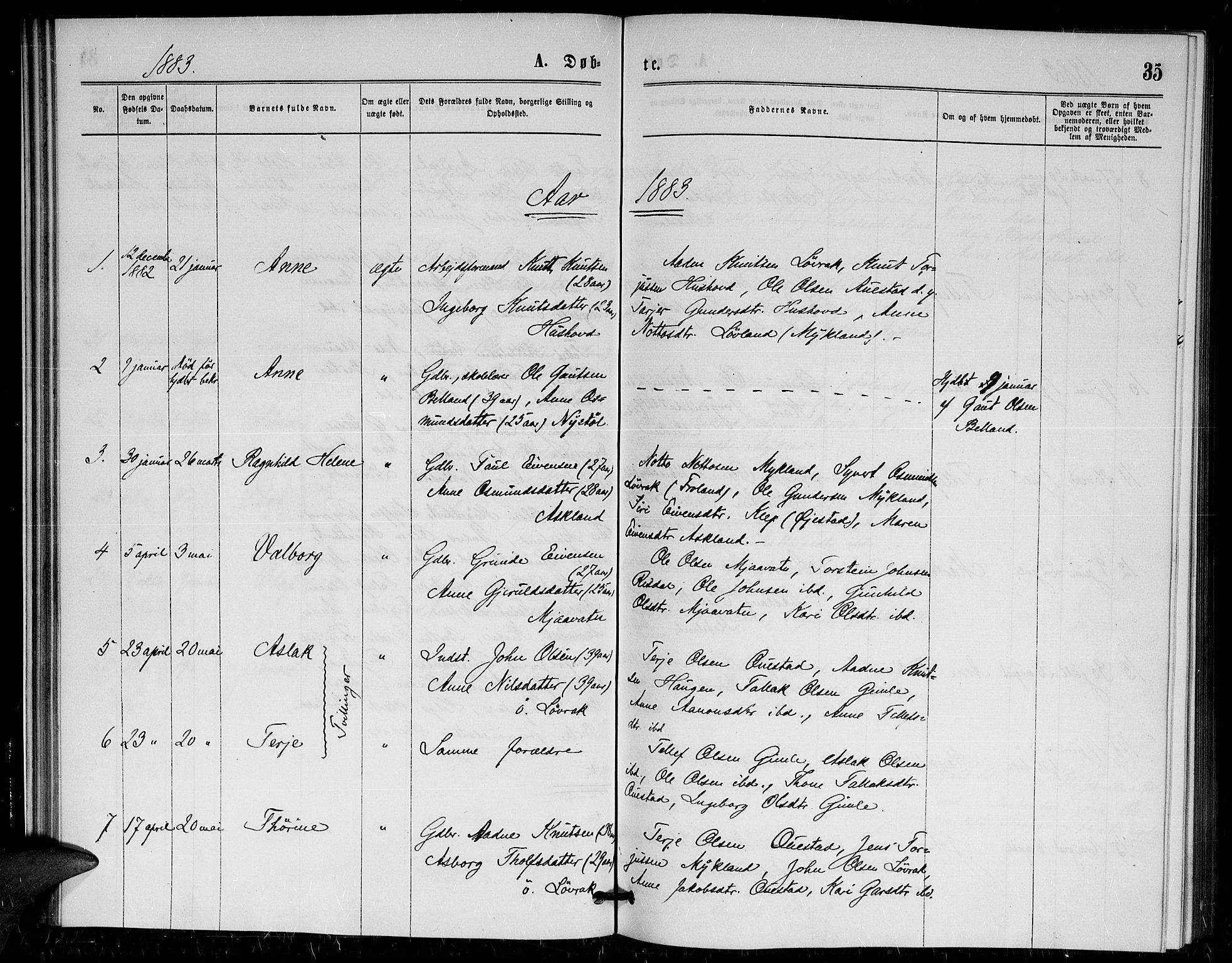 Herefoss sokneprestkontor, AV/SAK-1111-0019/F/Fa/Fac/L0001: Parish register (official) no. A 1, 1871-1886, p. 35