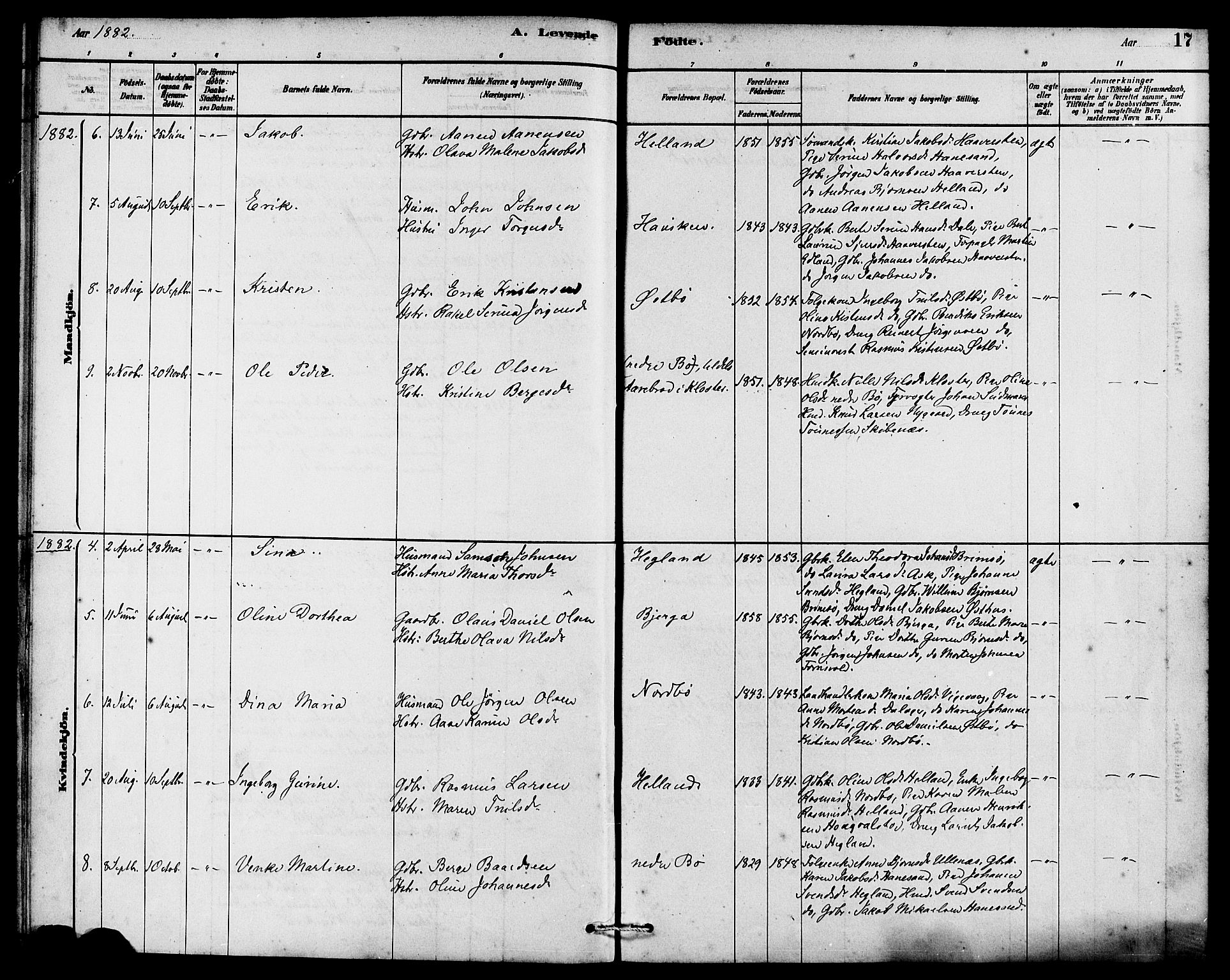 Rennesøy sokneprestkontor, AV/SAST-A -101827/H/Ha/Haa/L0007: Parish register (official) no. A 7, 1878-1884, p. 17