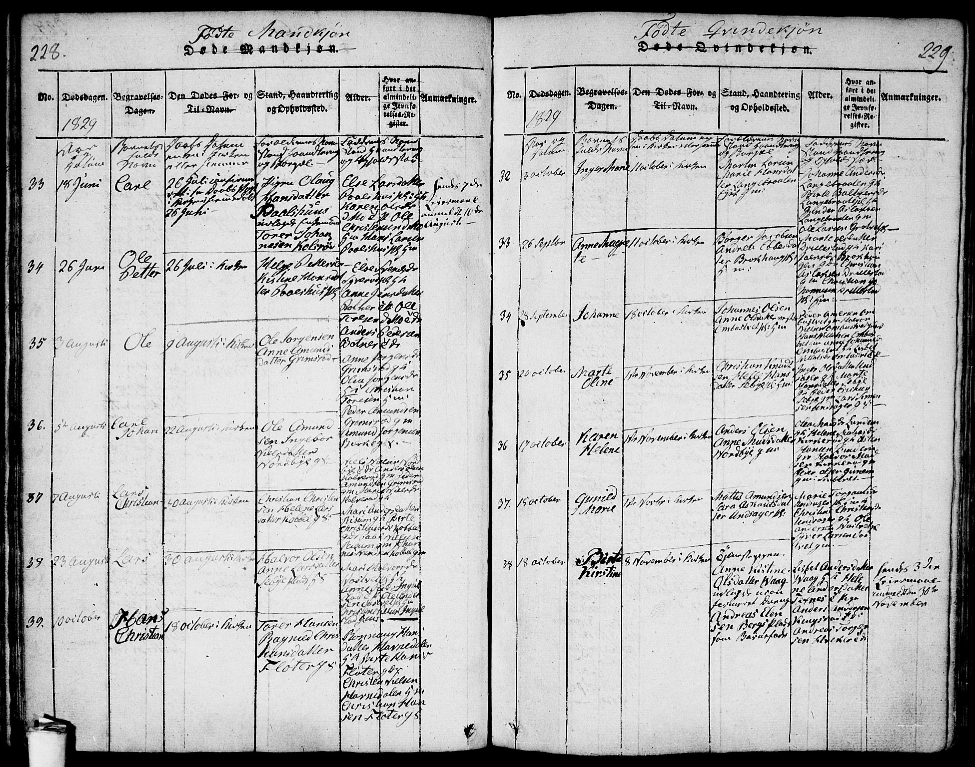 Våler prestekontor Kirkebøker, AV/SAO-A-11083/F/Fa/L0005: Parish register (official) no. I 5, 1815-1839, p. 228-229