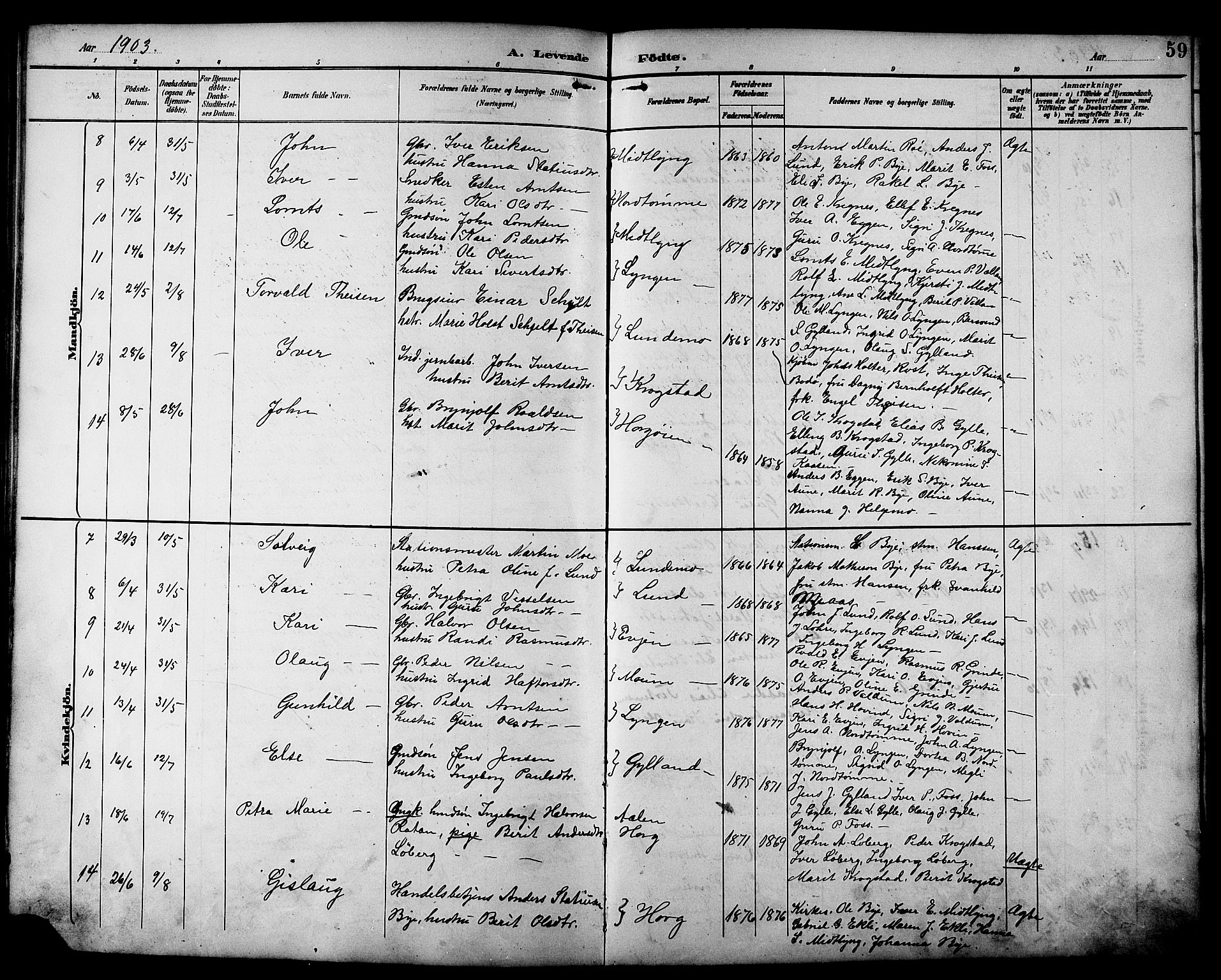 Ministerialprotokoller, klokkerbøker og fødselsregistre - Sør-Trøndelag, SAT/A-1456/692/L1111: Parish register (copy) no. 692C06, 1890-1904, p. 59