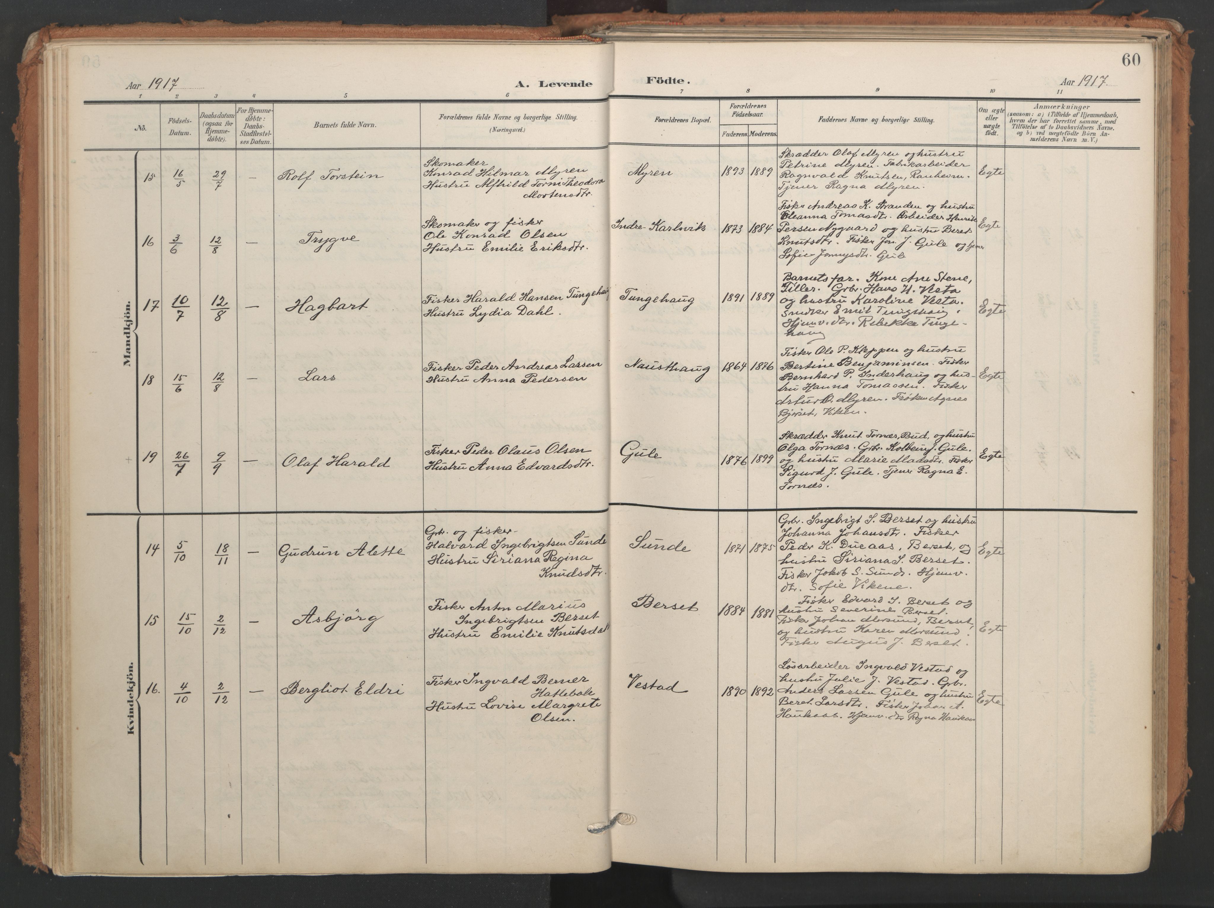 Ministerialprotokoller, klokkerbøker og fødselsregistre - Møre og Romsdal, AV/SAT-A-1454/566/L0771: Parish register (official) no. 566A10, 1904-1929, p. 60