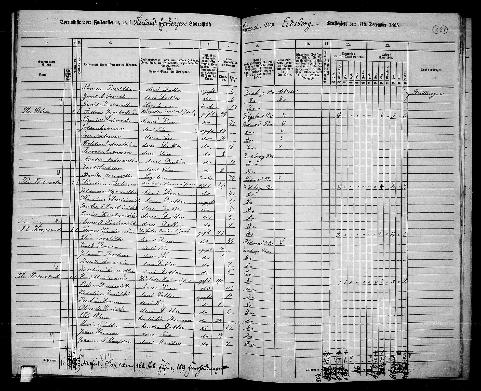 RA, 1865 census for Eidsberg, 1865, p. 208