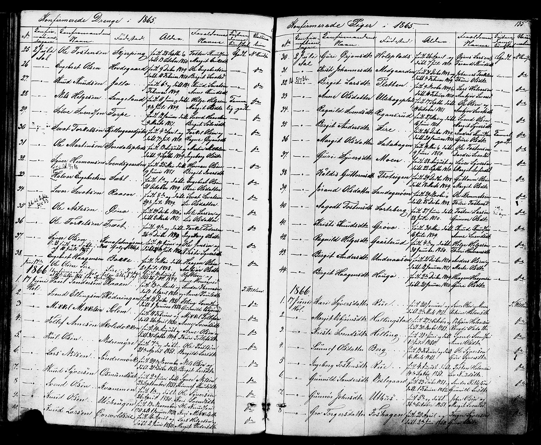 Ål kirkebøker, AV/SAKO-A-249/F/Fa/L0007: Parish register (official) no. I 7, 1865-1881, p. 135