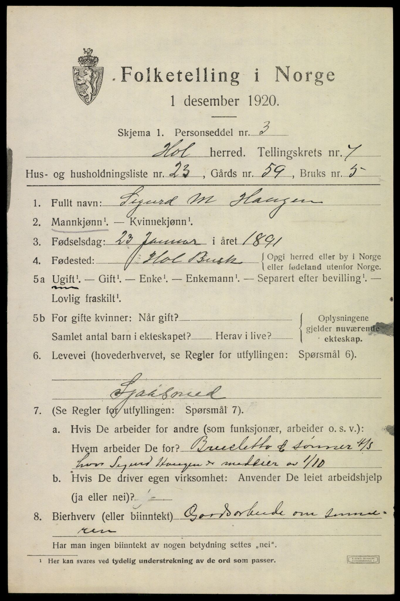 SAKO, 1920 census for Hol (Buskerud), 1920, p. 3791