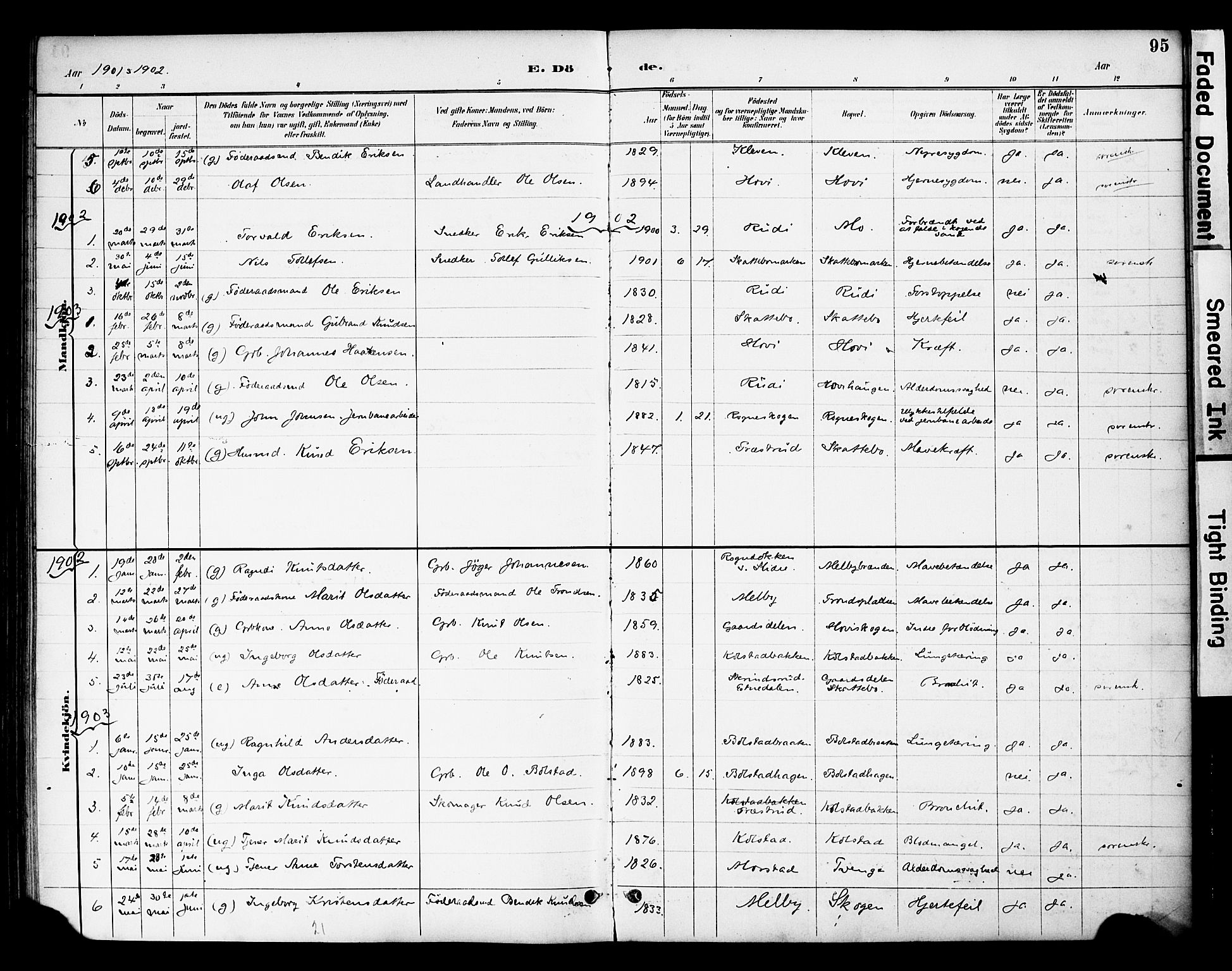 Øystre Slidre prestekontor, SAH/PREST-138/H/Ha/Haa/L0003: Parish register (official) no. 3, 1887-1910, p. 95