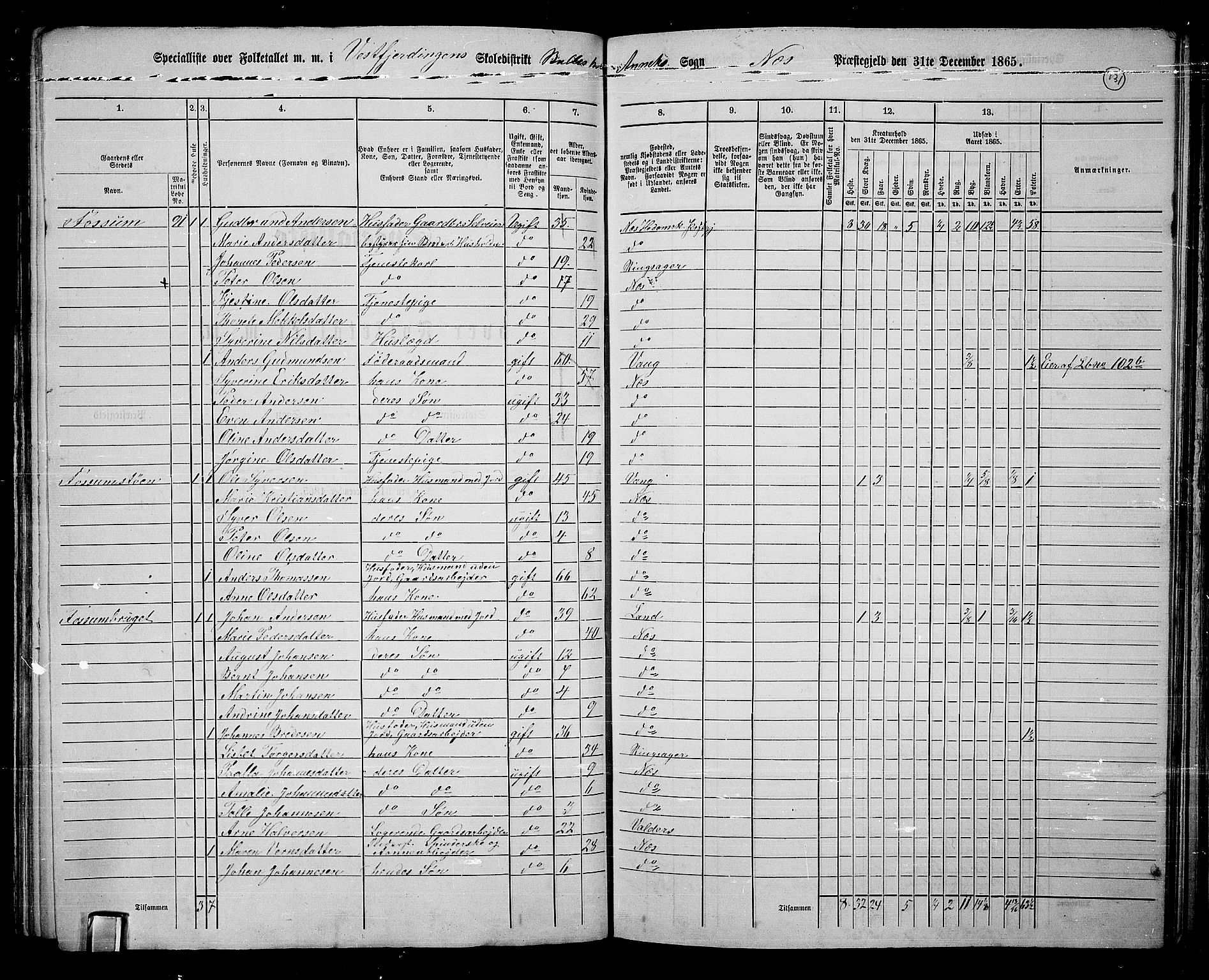 RA, 1865 census for Nes, 1865, p. 111