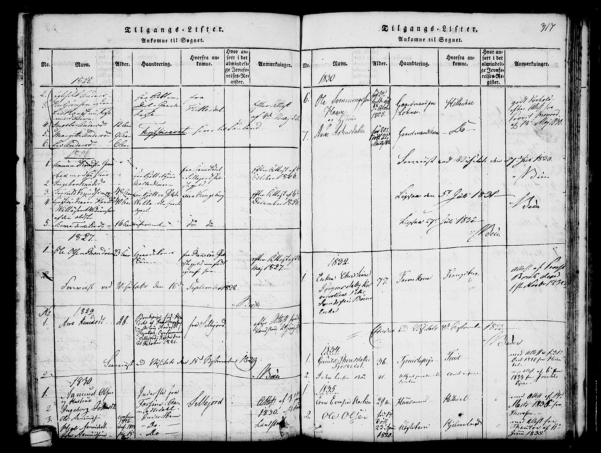 Hjartdal kirkebøker, SAKO/A-270/F/Fa/L0007: Parish register (official) no. I 7, 1815-1843, p. 317