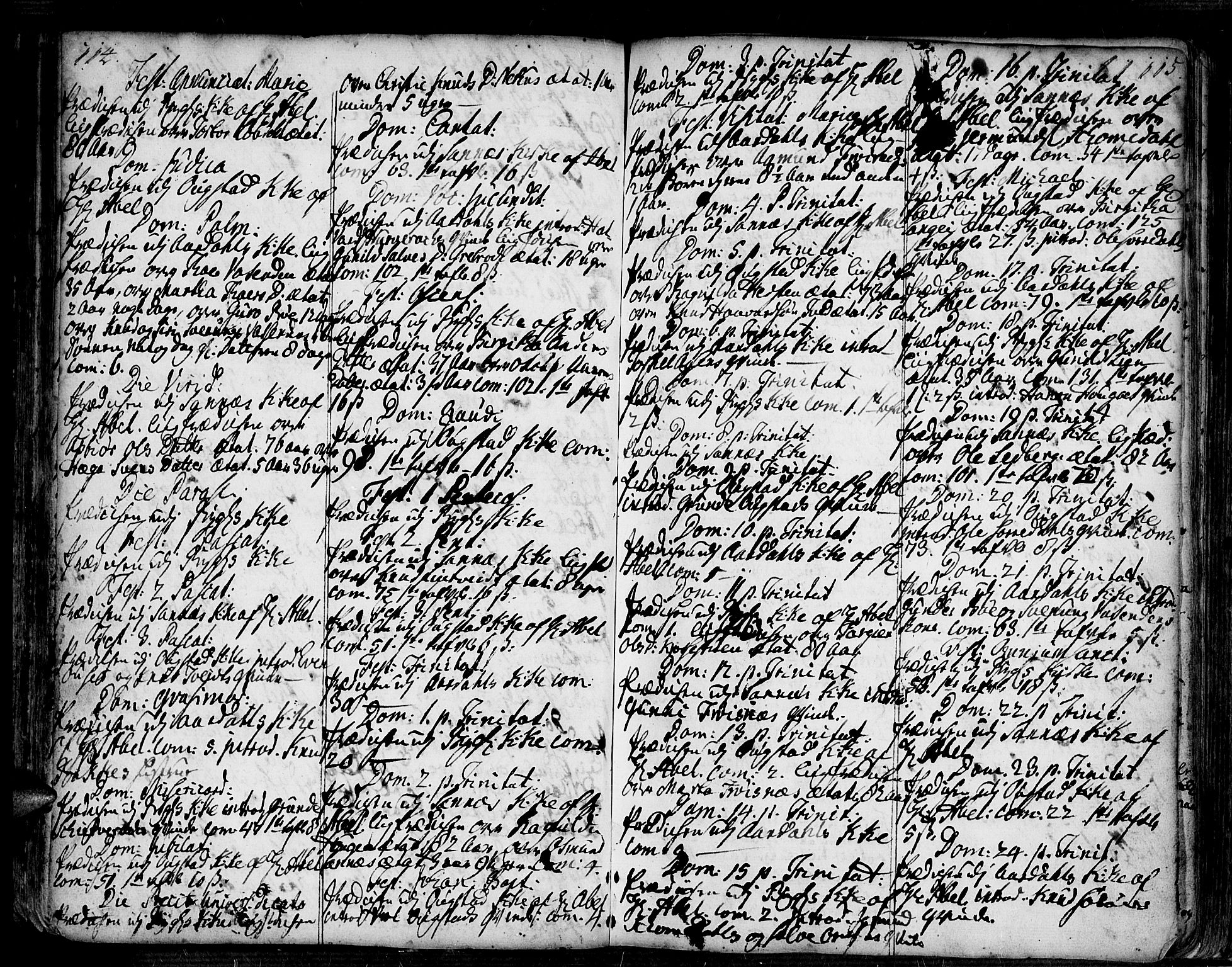 Bygland sokneprestkontor, AV/SAK-1111-0006/F/Fa/Fab/L0001: Parish register (official) no. A 1, 1725-1766, p. 114-115