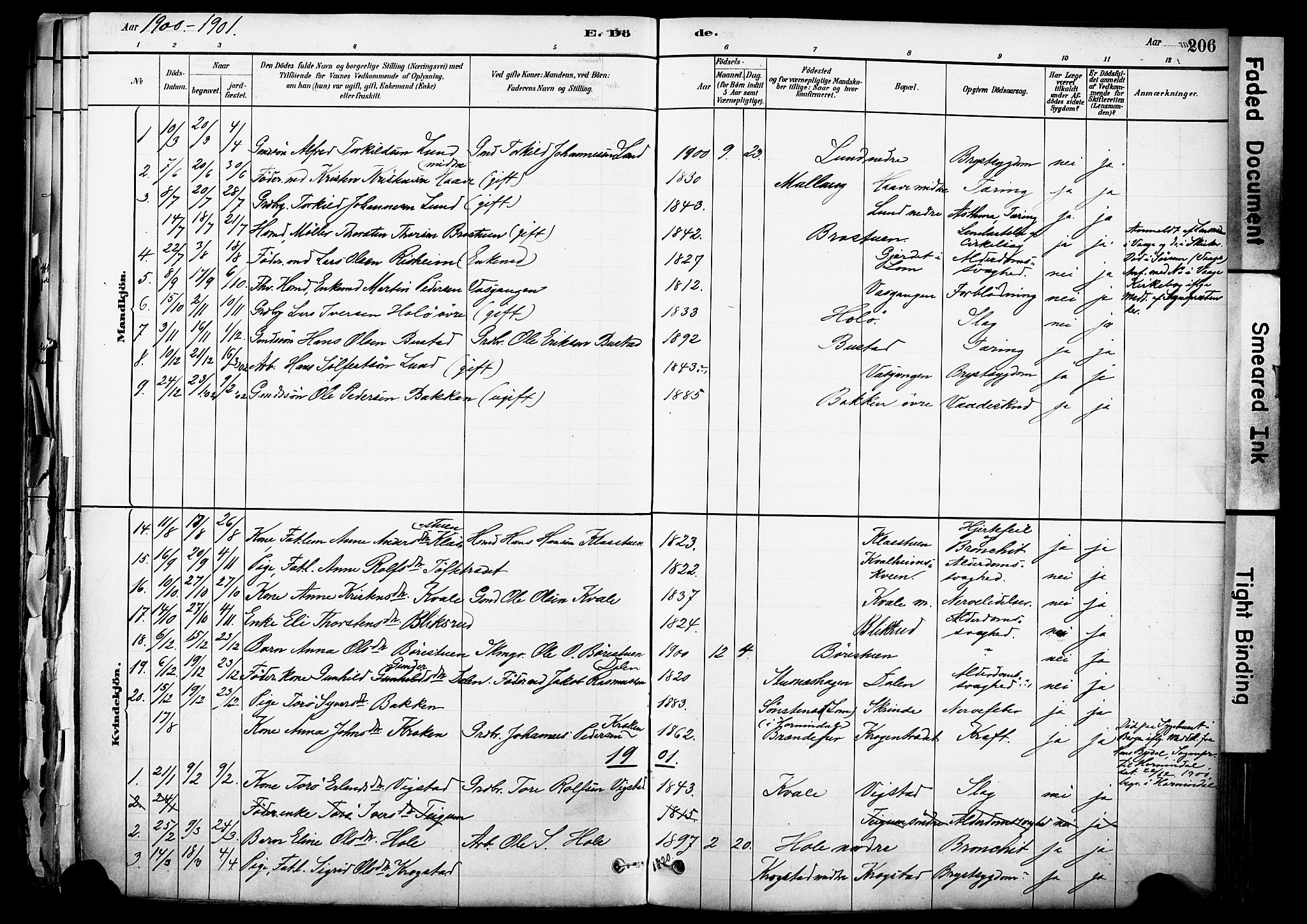 Skjåk prestekontor, SAH/PREST-072/H/Ha/Haa/L0003: Parish register (official) no. 3, 1880-1907, p. 206