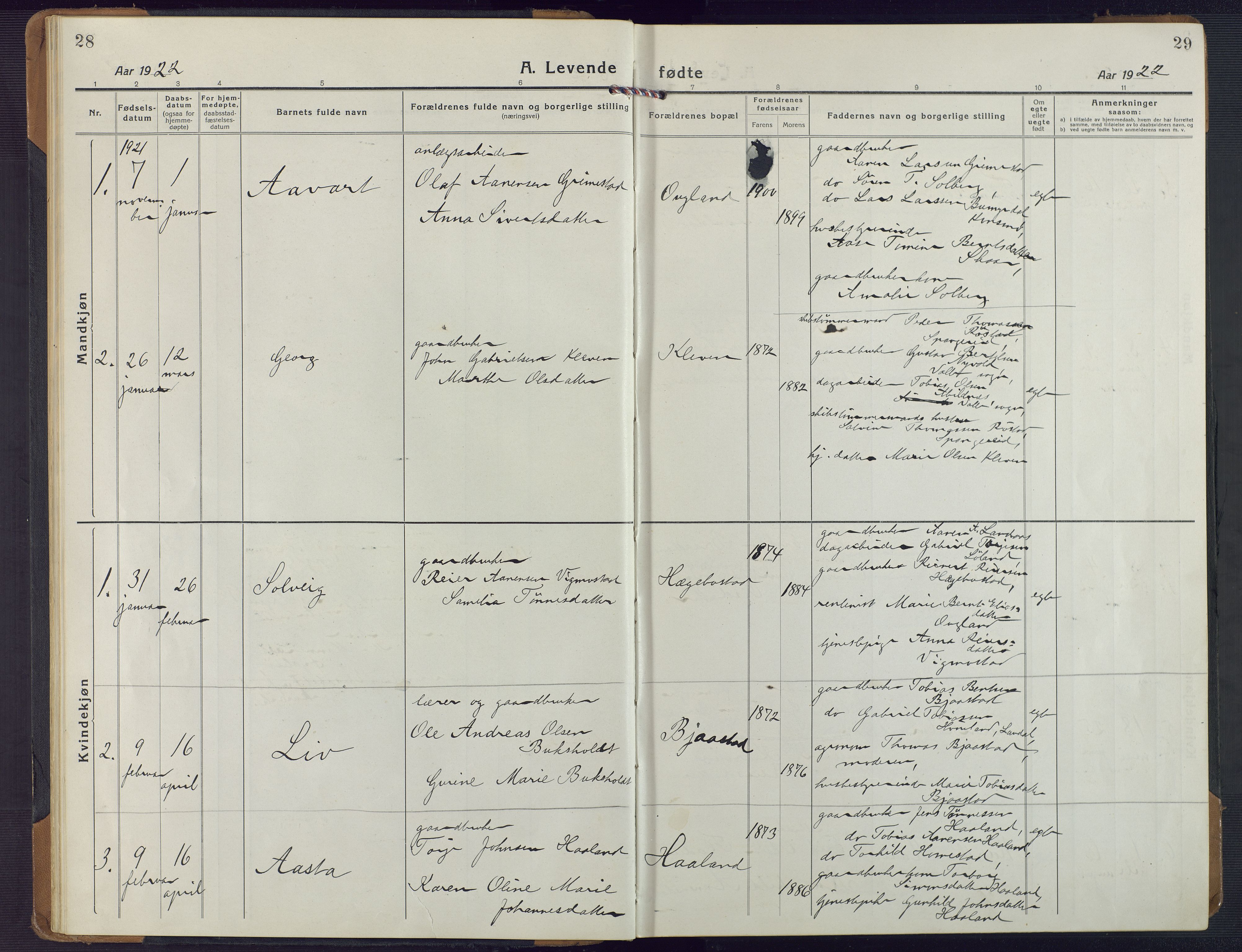Nord-Audnedal sokneprestkontor, AV/SAK-1111-0032/F/Fa/Fab/L0005: Parish register (official) no. A 5, 1918-1925, p. 28-29
