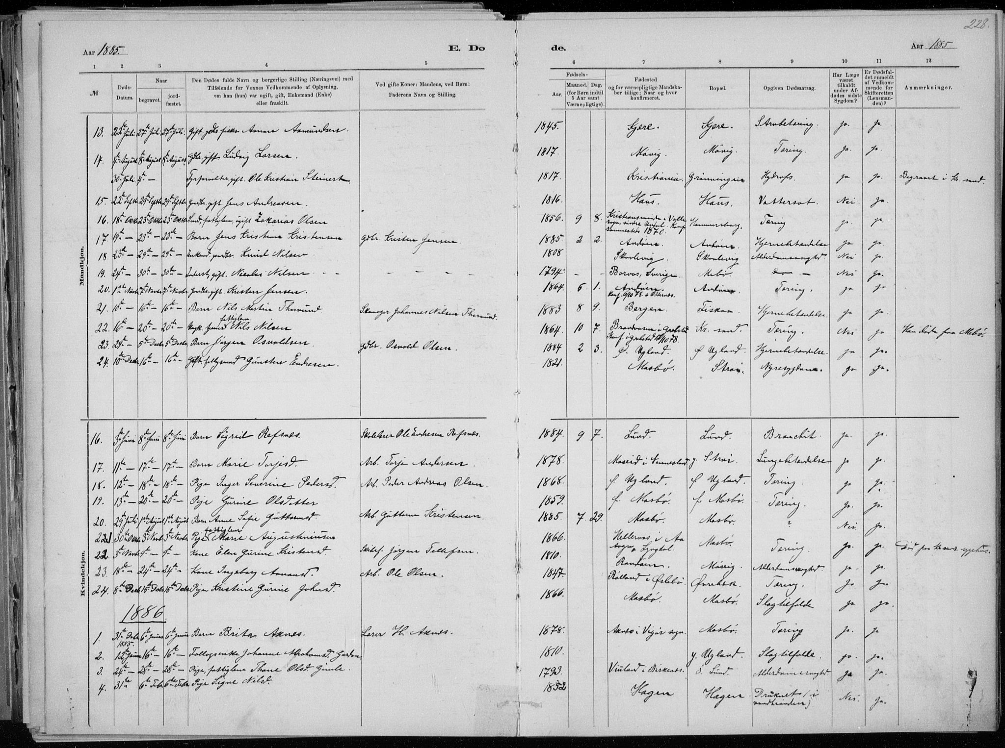 Oddernes sokneprestkontor, AV/SAK-1111-0033/F/Fa/Faa/L0009: Parish register (official) no. A 9, 1884-1896, p. 228