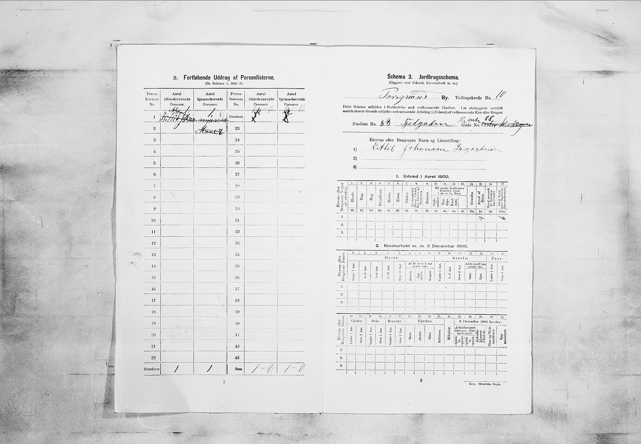 SAKO, 1900 census for Porsgrunn, 1900, p. 1678