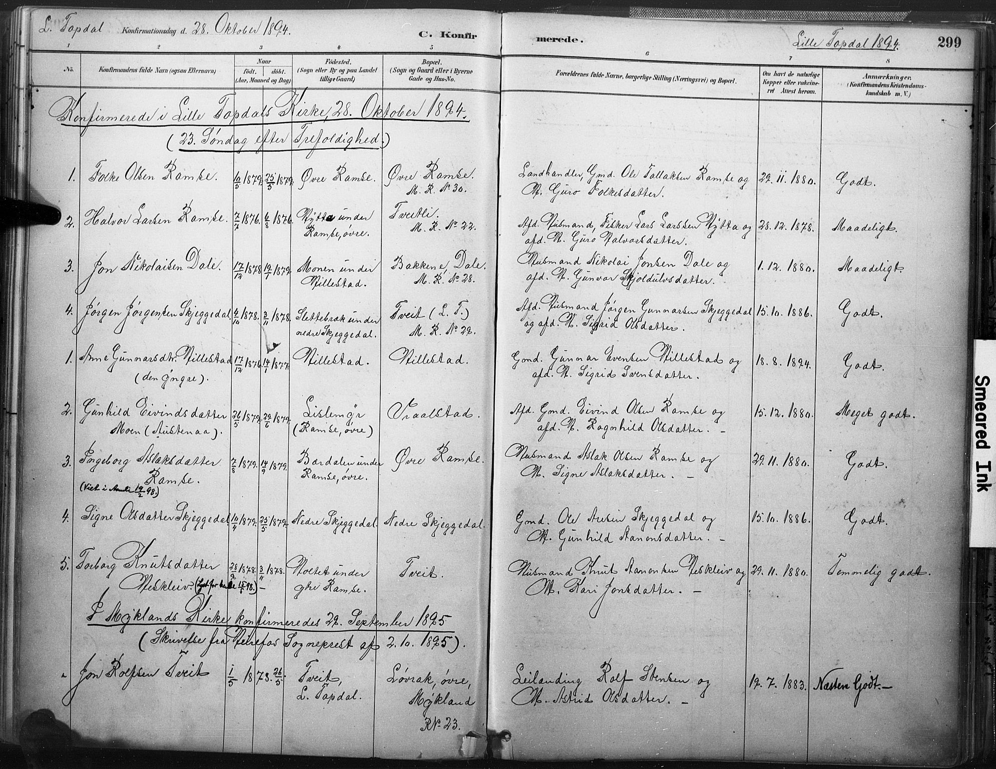 Åmli sokneprestkontor, AV/SAK-1111-0050/F/Fa/Fac/L0010: Parish register (official) no. A 10 /3, 1885-1899, p. 299