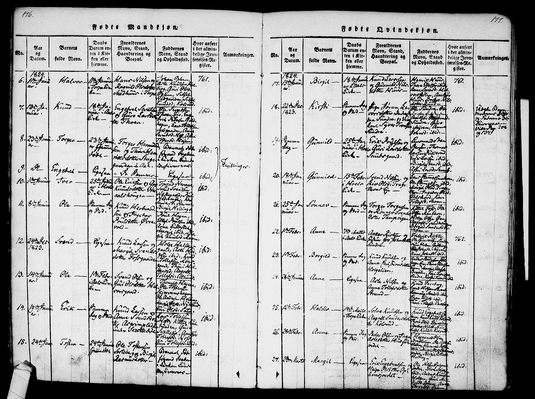 Ål kirkebøker, AV/SAKO-A-249/F/Fa/L0004: Parish register (official) no. I 4, 1815-1825, p. 176-177