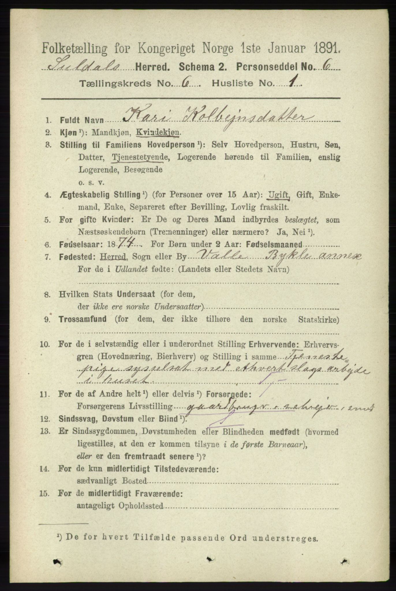 RA, 1891 census for 1134 Suldal, 1891, p. 1600