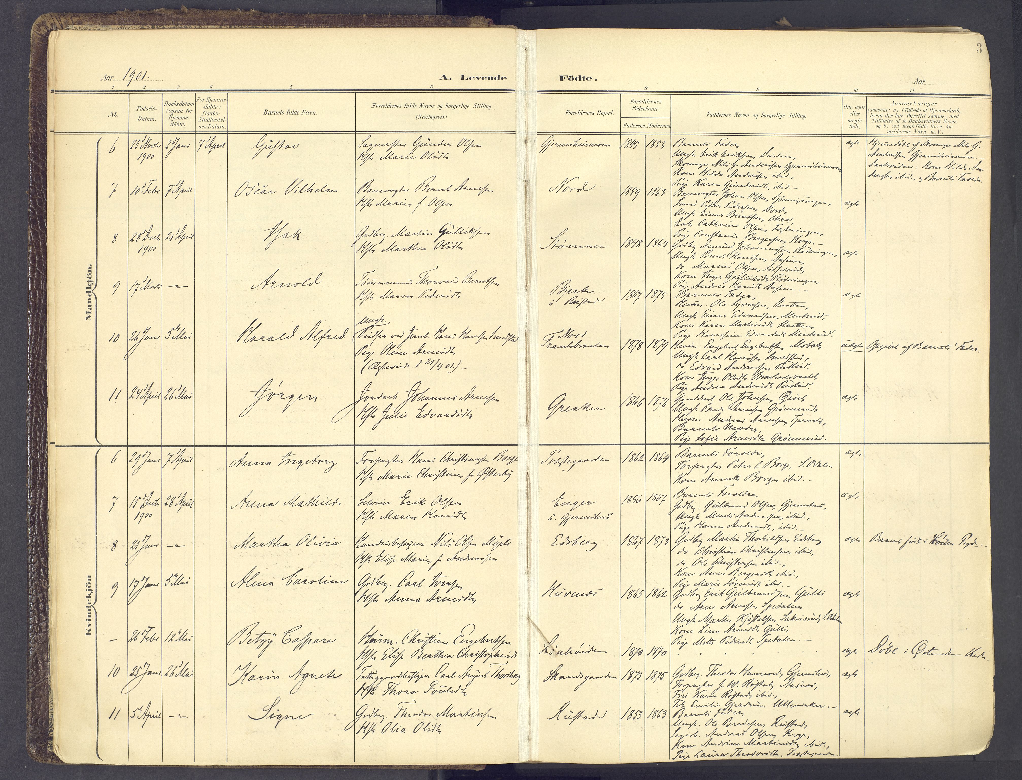 Vinger prestekontor, SAH/PREST-024/H/Ha/Haa/L0017: Parish register (official) no. 17, 1901-1927, p. 3