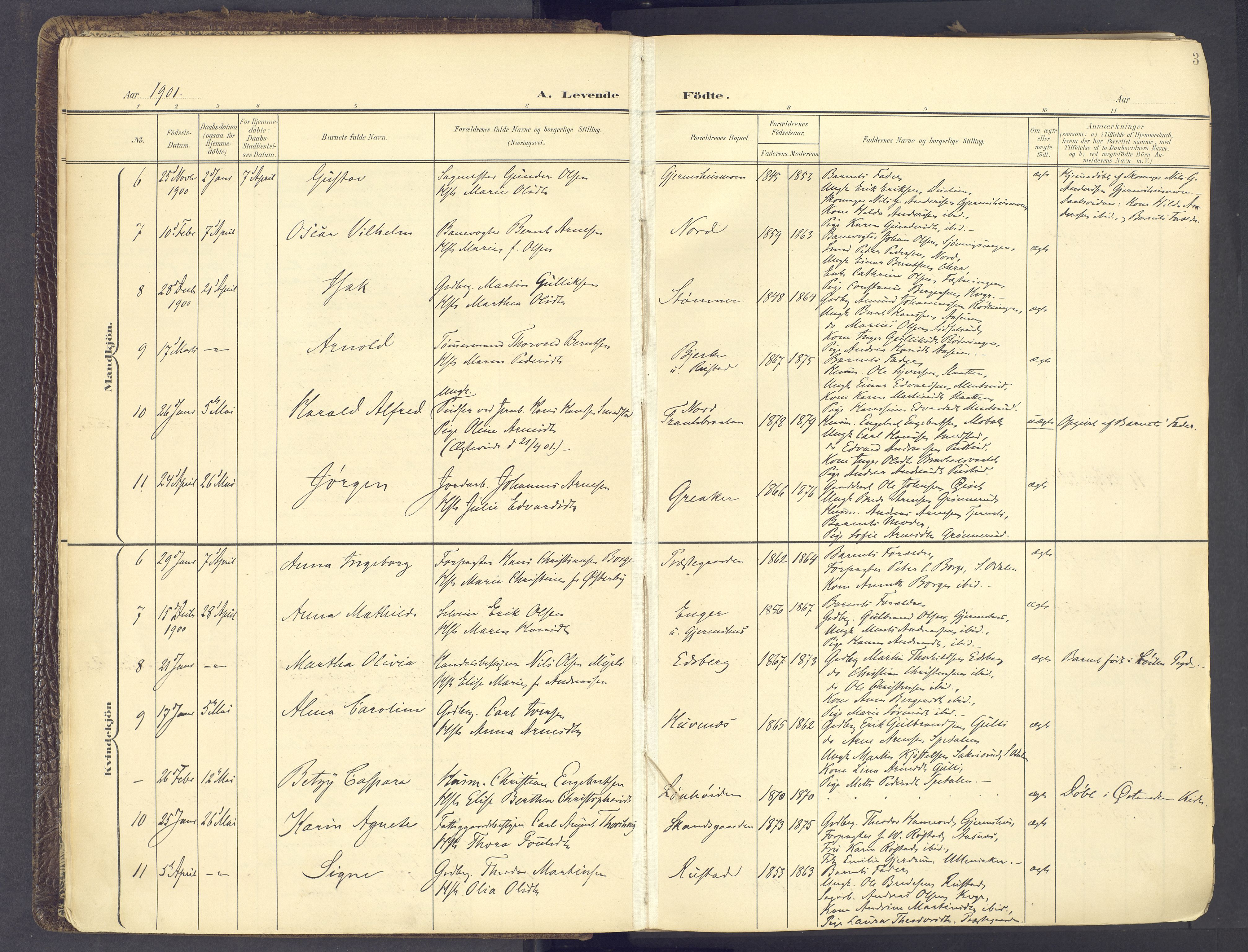 Vinger prestekontor, AV/SAH-PREST-024/H/Ha/Haa/L0017: Parish register (official) no. 17, 1901-1927, p. 3