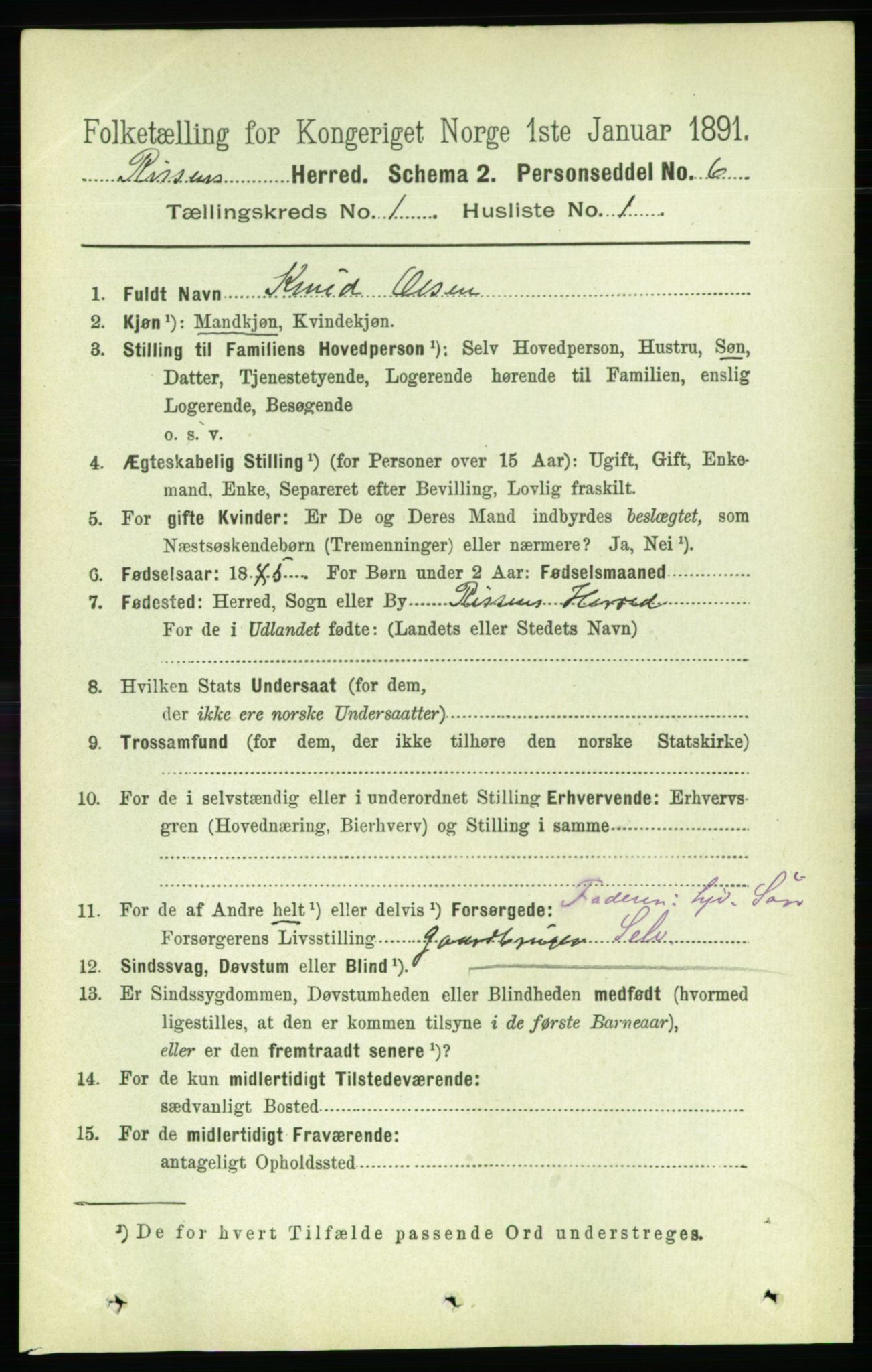 RA, 1891 census for 1624 Rissa, 1891, p. 163