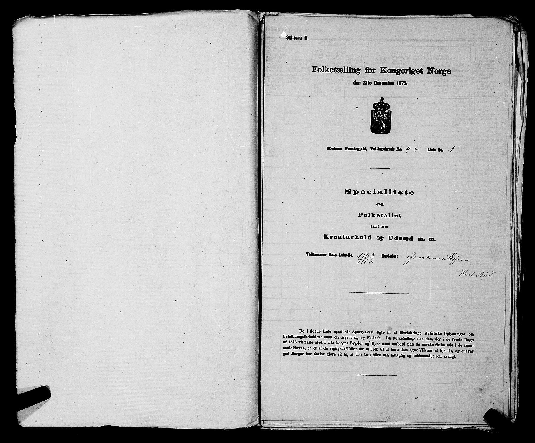 RA, 1875 census for 0231P Skedsmo, 1875, p. 572