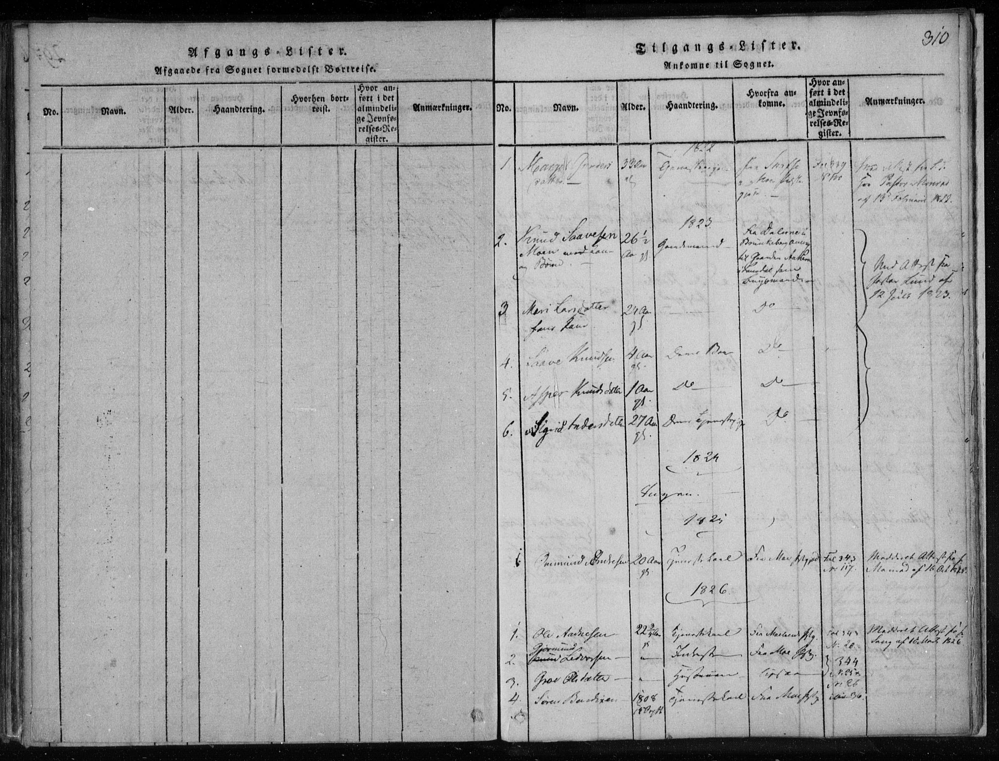 Lårdal kirkebøker, SAKO/A-284/F/Fa/L0005: Parish register (official) no. I 5, 1815-1860, p. 310