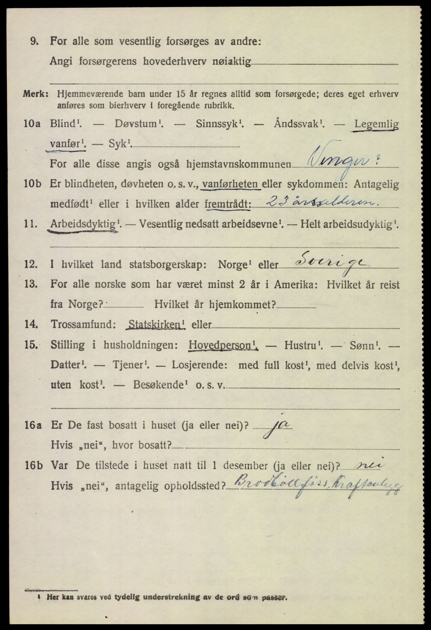 SAH, 1920 census for Vinger, 1920, p. 11221