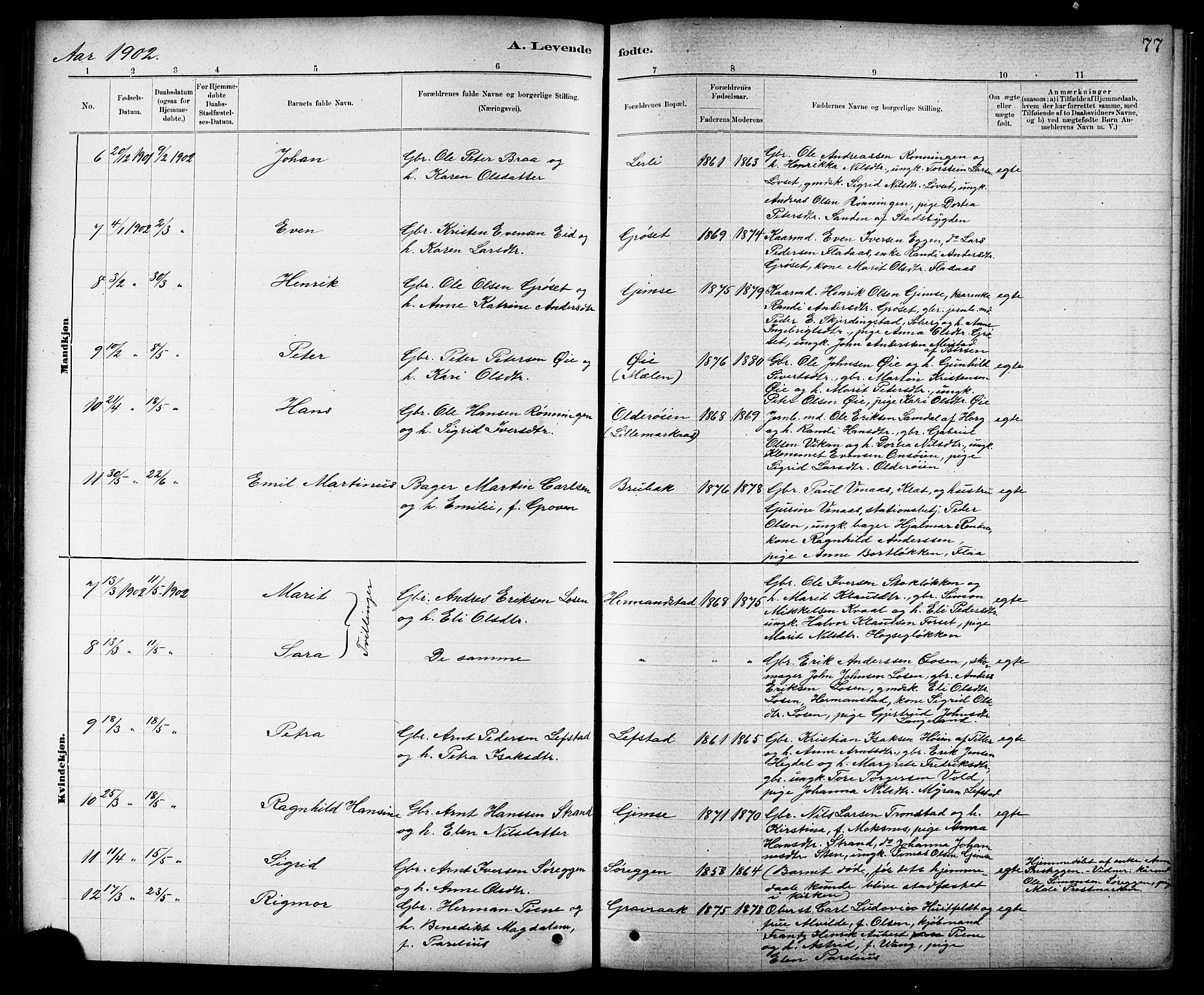 Ministerialprotokoller, klokkerbøker og fødselsregistre - Sør-Trøndelag, SAT/A-1456/691/L1094: Parish register (copy) no. 691C05, 1879-1911, p. 77